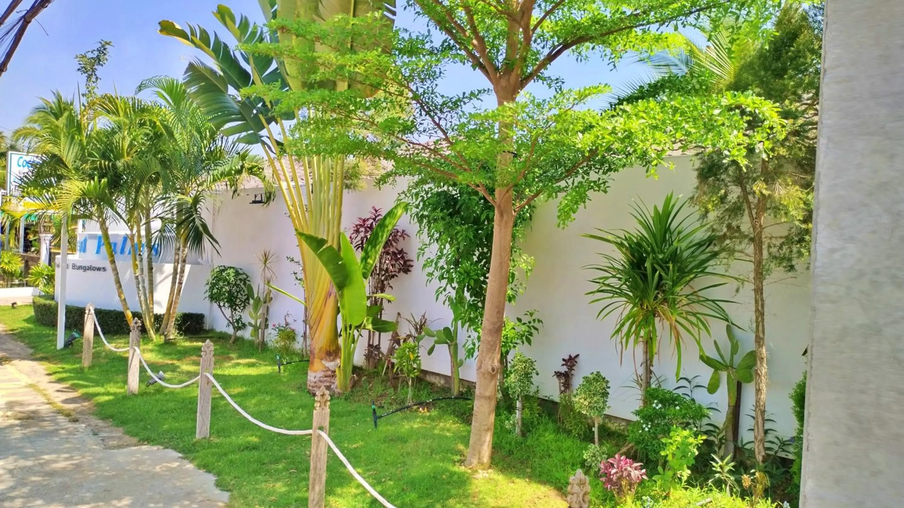 Street view in Coconut Palms