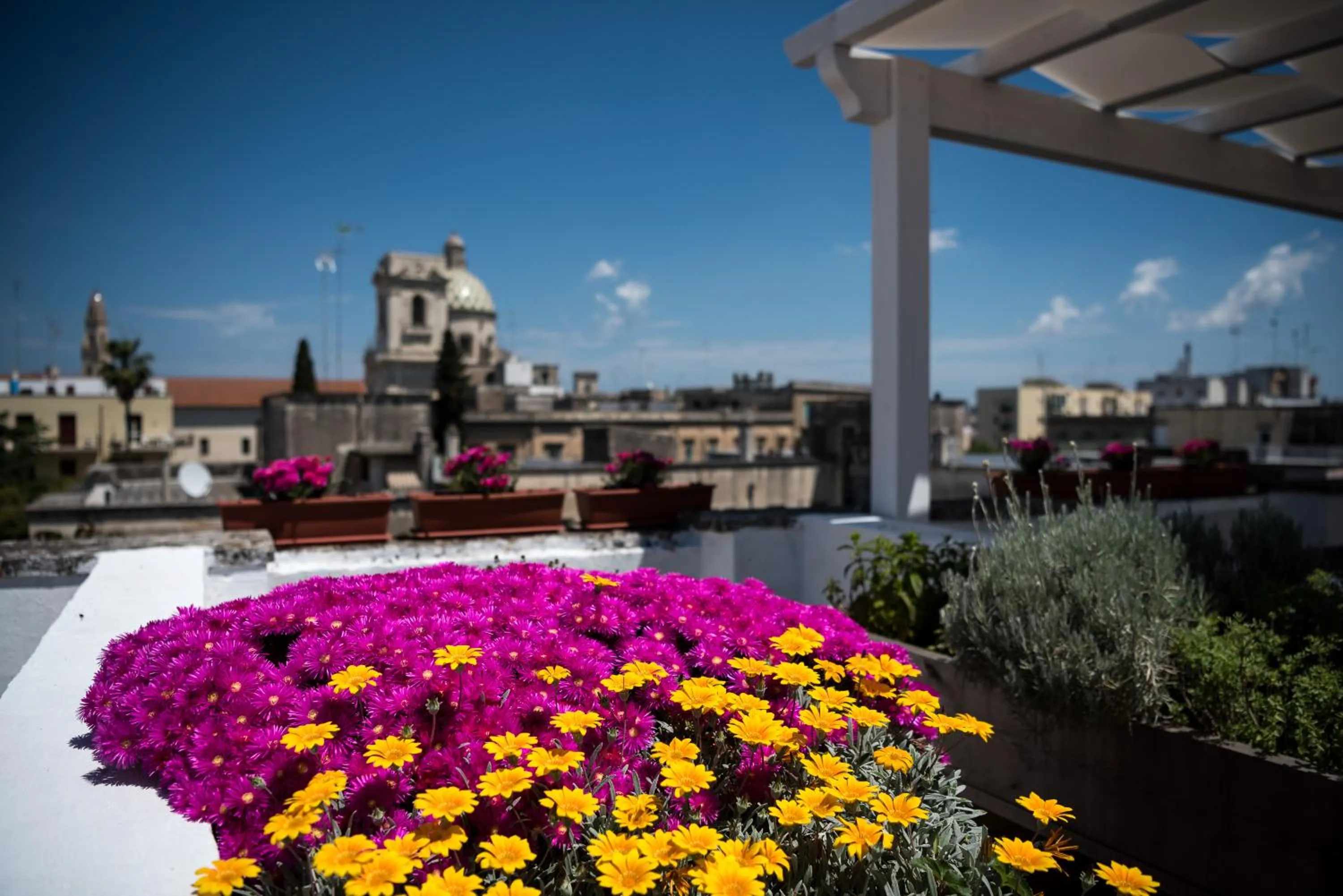Balcony/Terrace in Palazzo Bignami