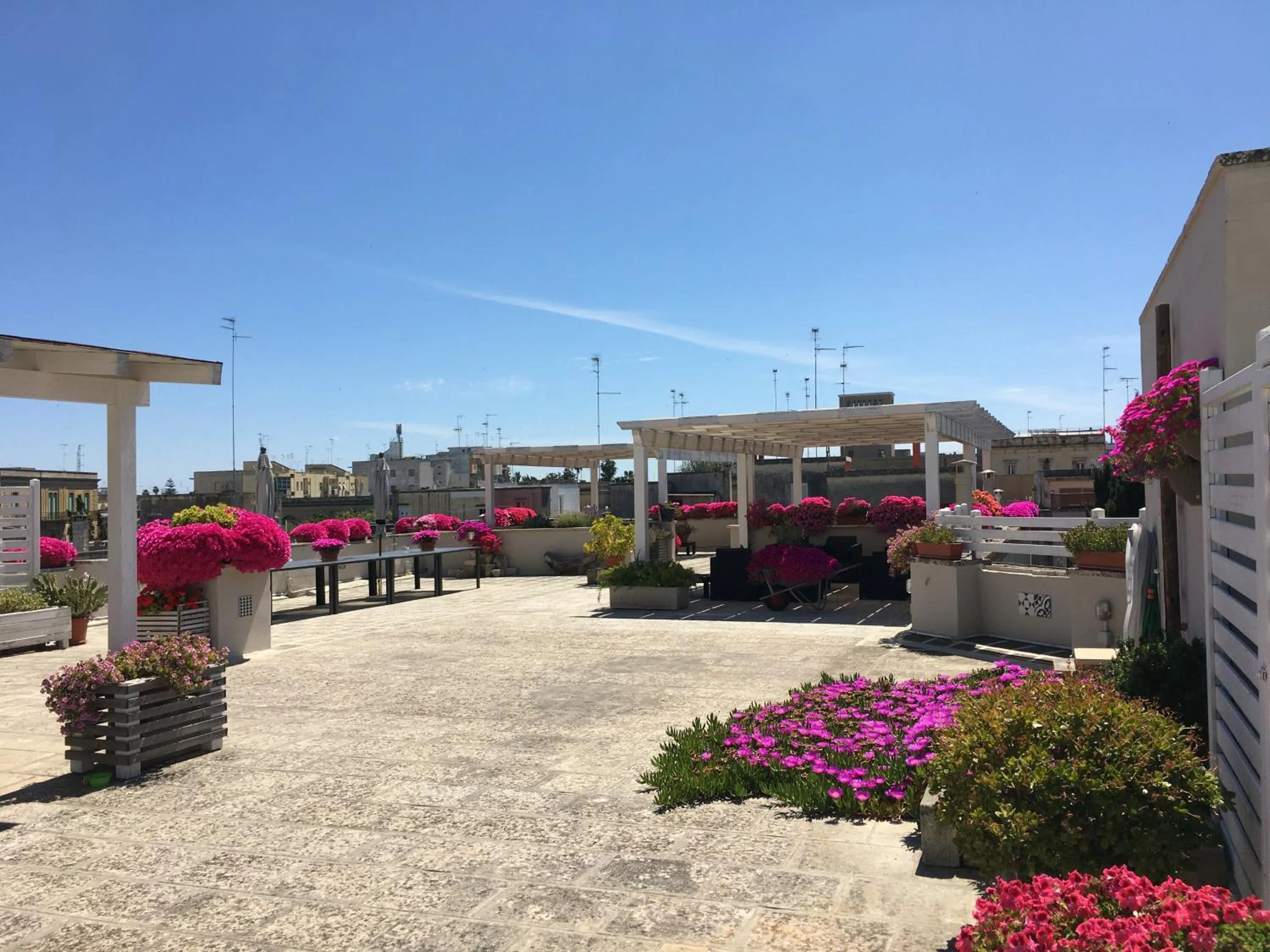 Balcony/Terrace in Palazzo Bignami