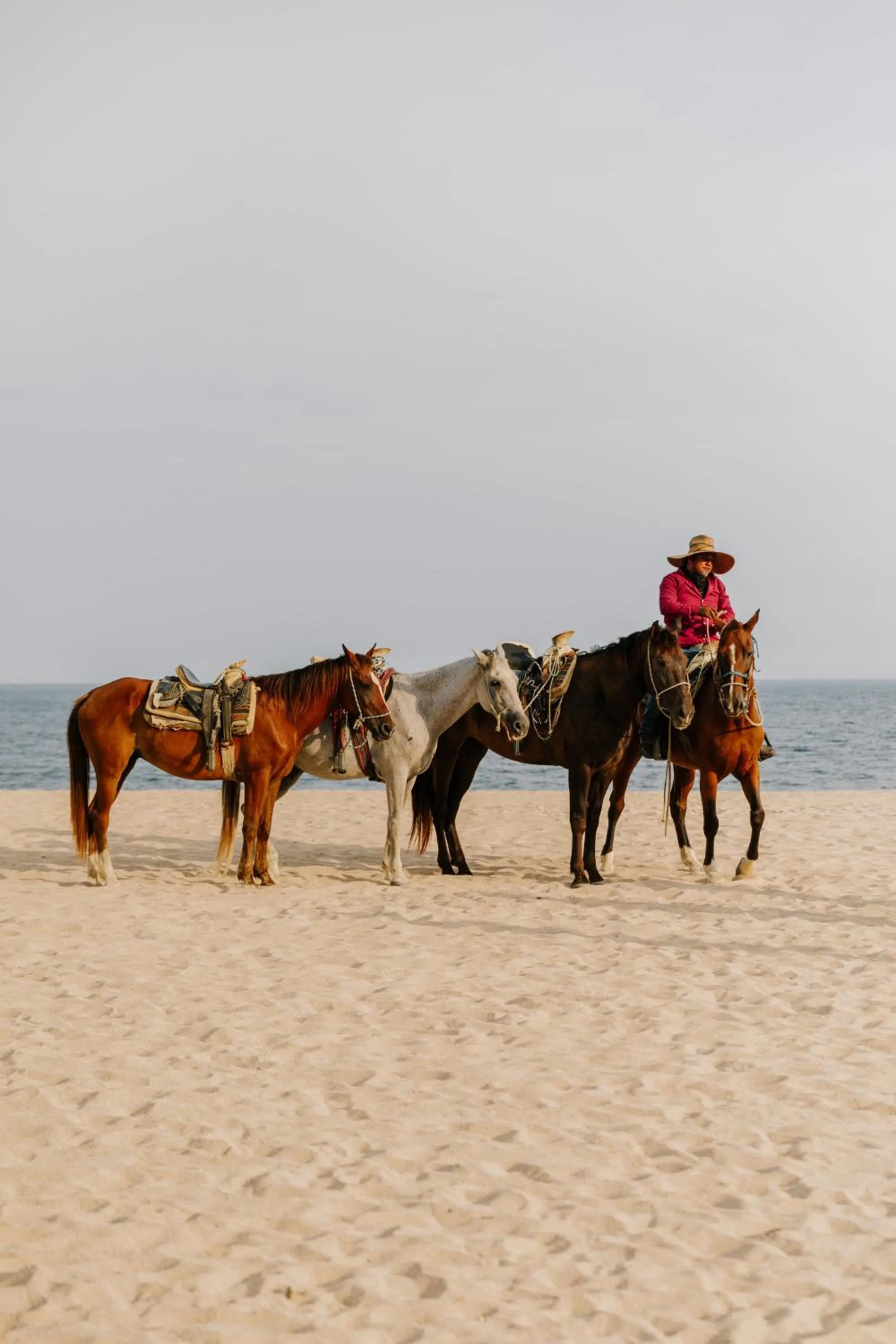 Activities in Viceroy Los Cabos
