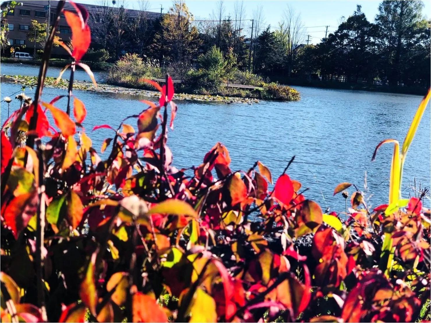 Karuizawa Pension Sato no Nukumori