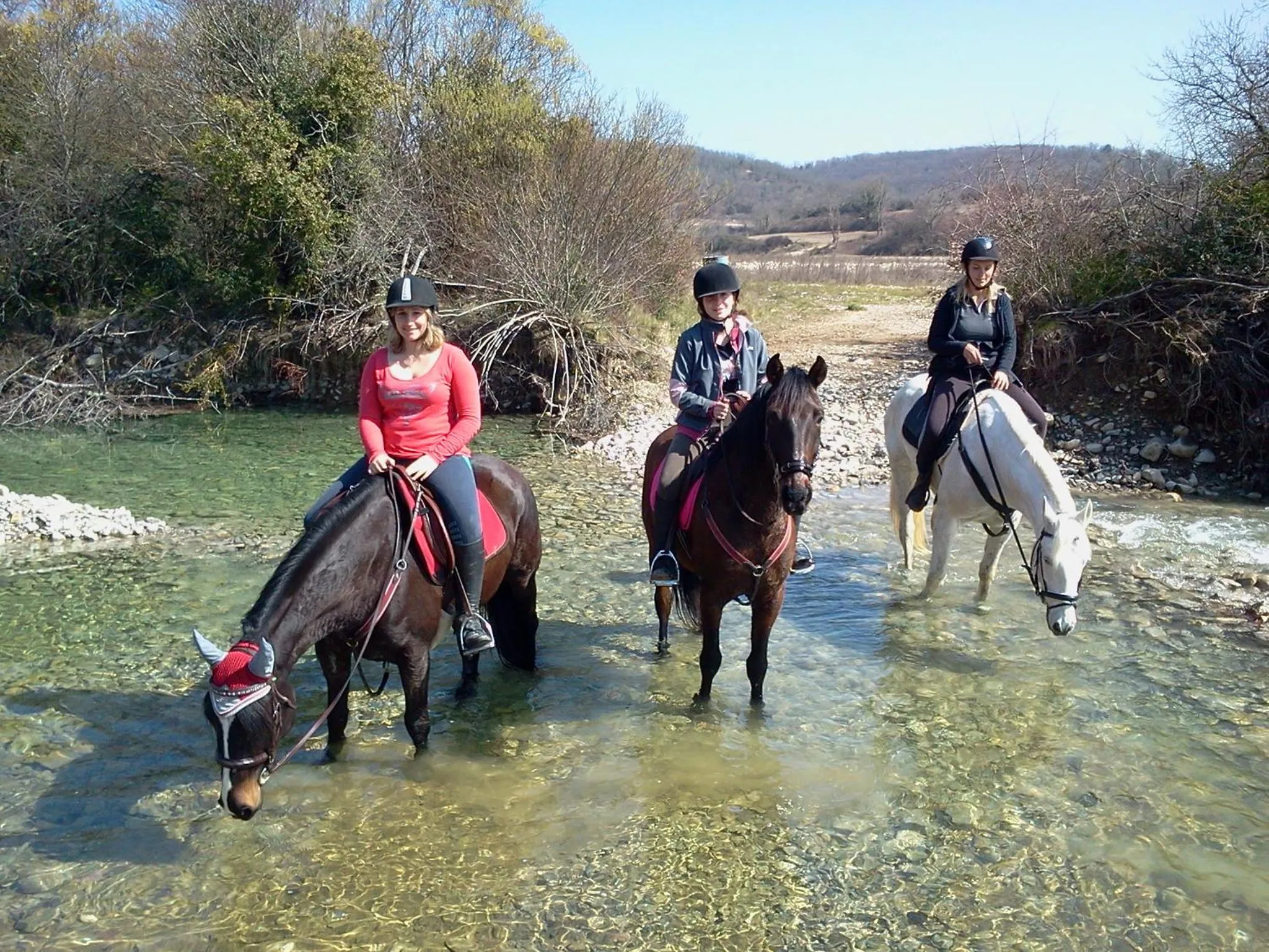 Natural landscape in Le Relais de Vazeille