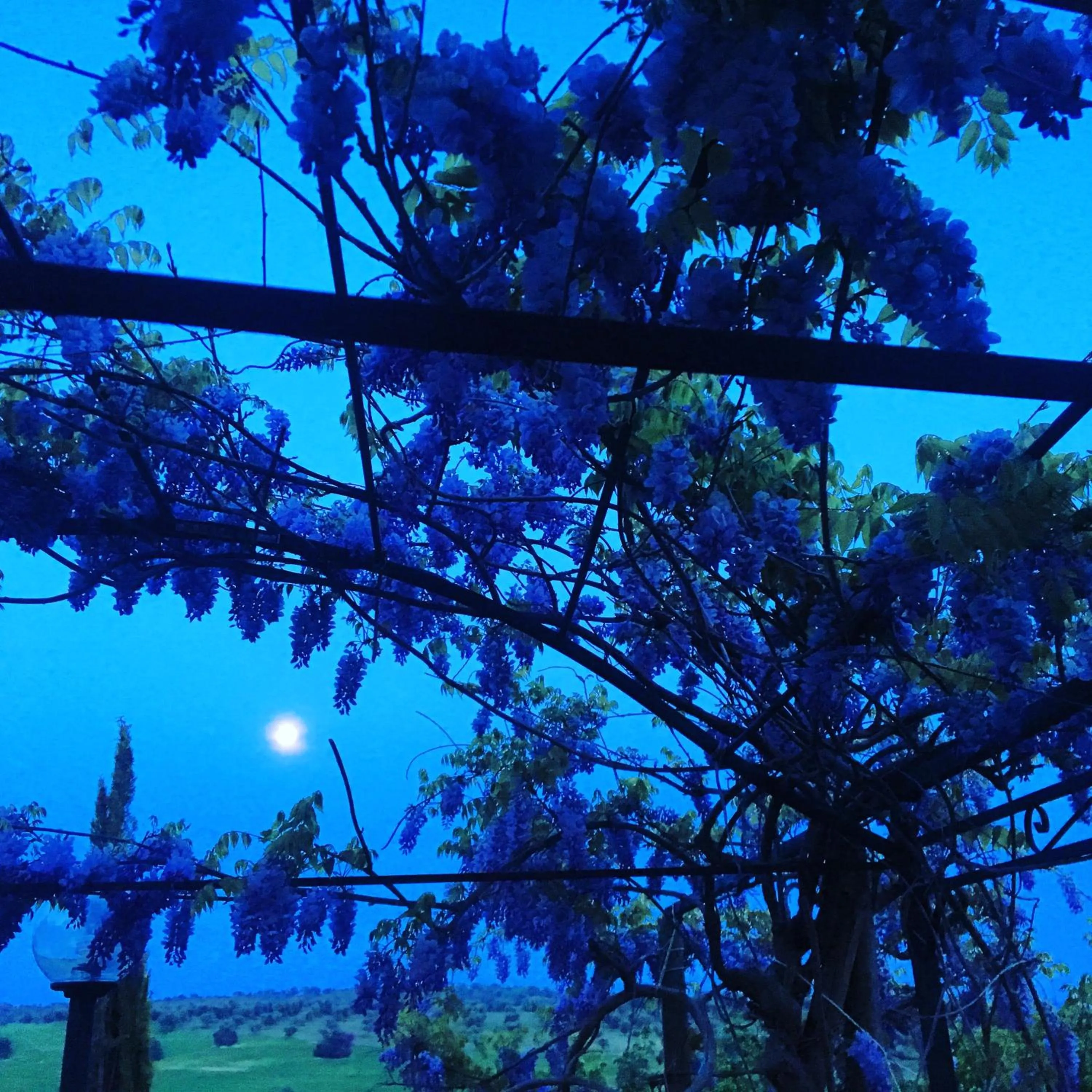 Residenza Santa Maria In Borraccia