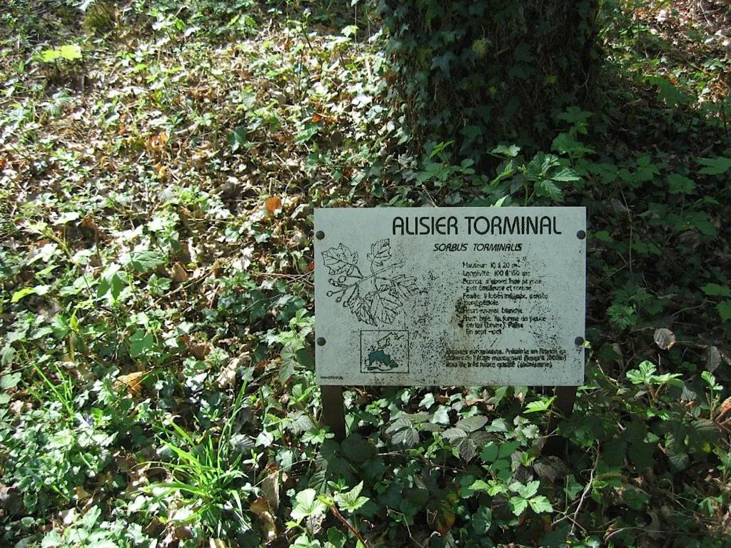 Decorative detail in Le Fauverney Lodge