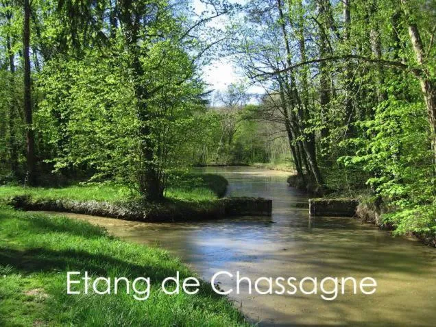 Text overlay in Le Fauverney Lodge