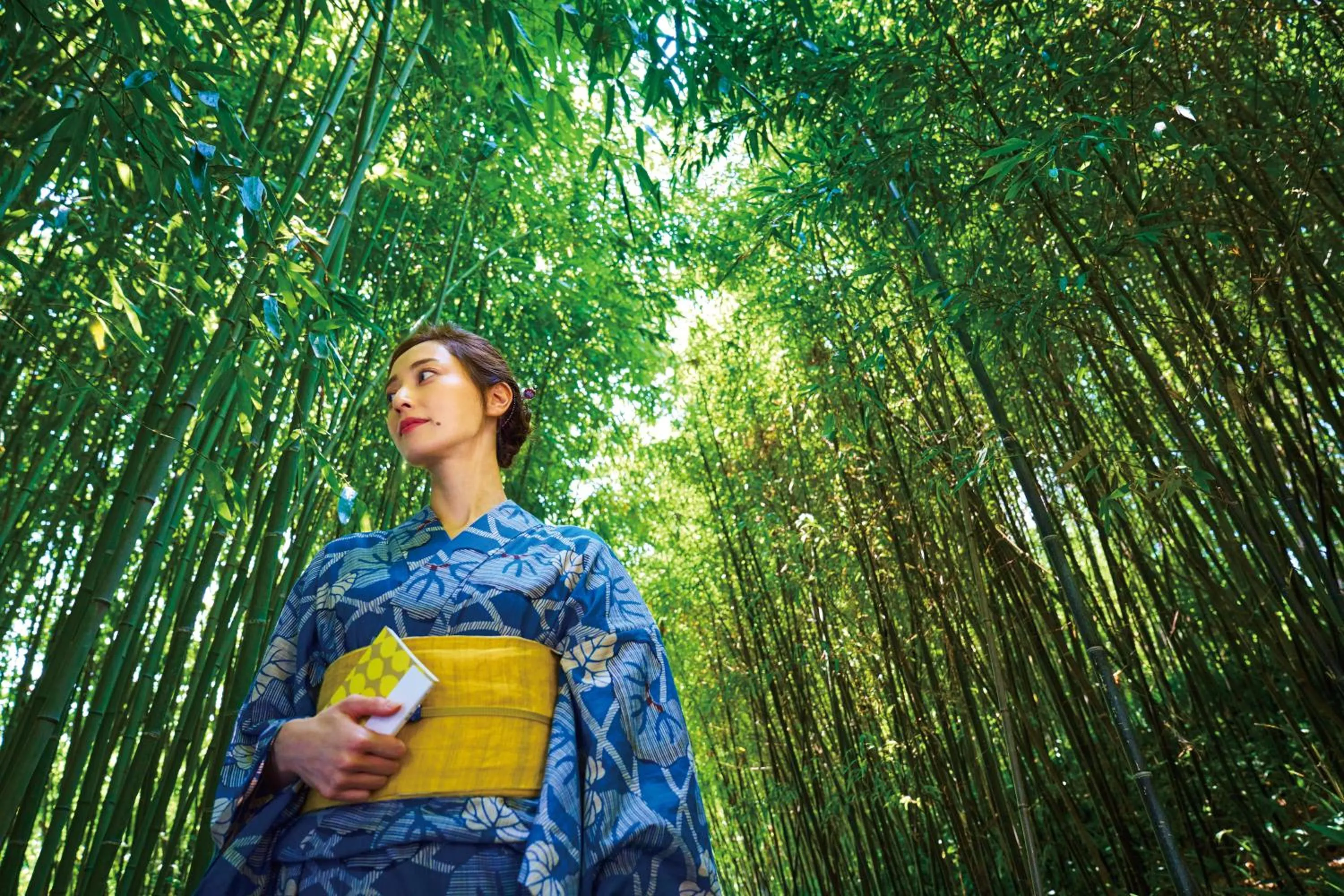 Neighbourhood in ホテル京都エミナースManyonoyuHotelKyotoEminence