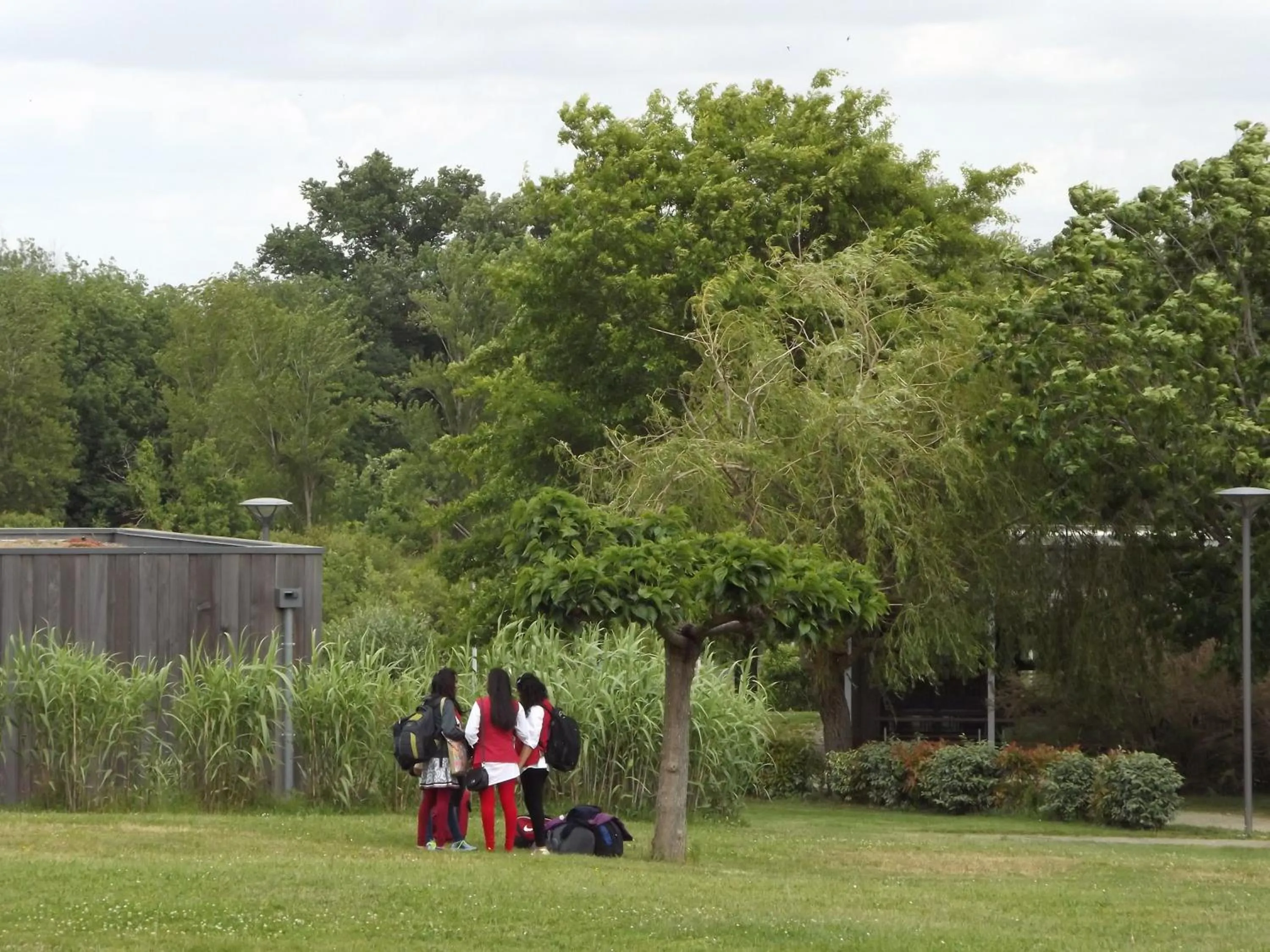 Garden in Domaine d'Ariane