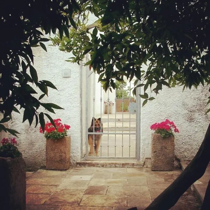 Facade/entrance in B&B Masseria Donna Carlotta