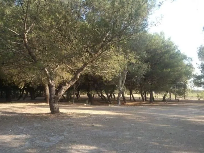 Facade/entrance in B&B Masseria Donna Carlotta