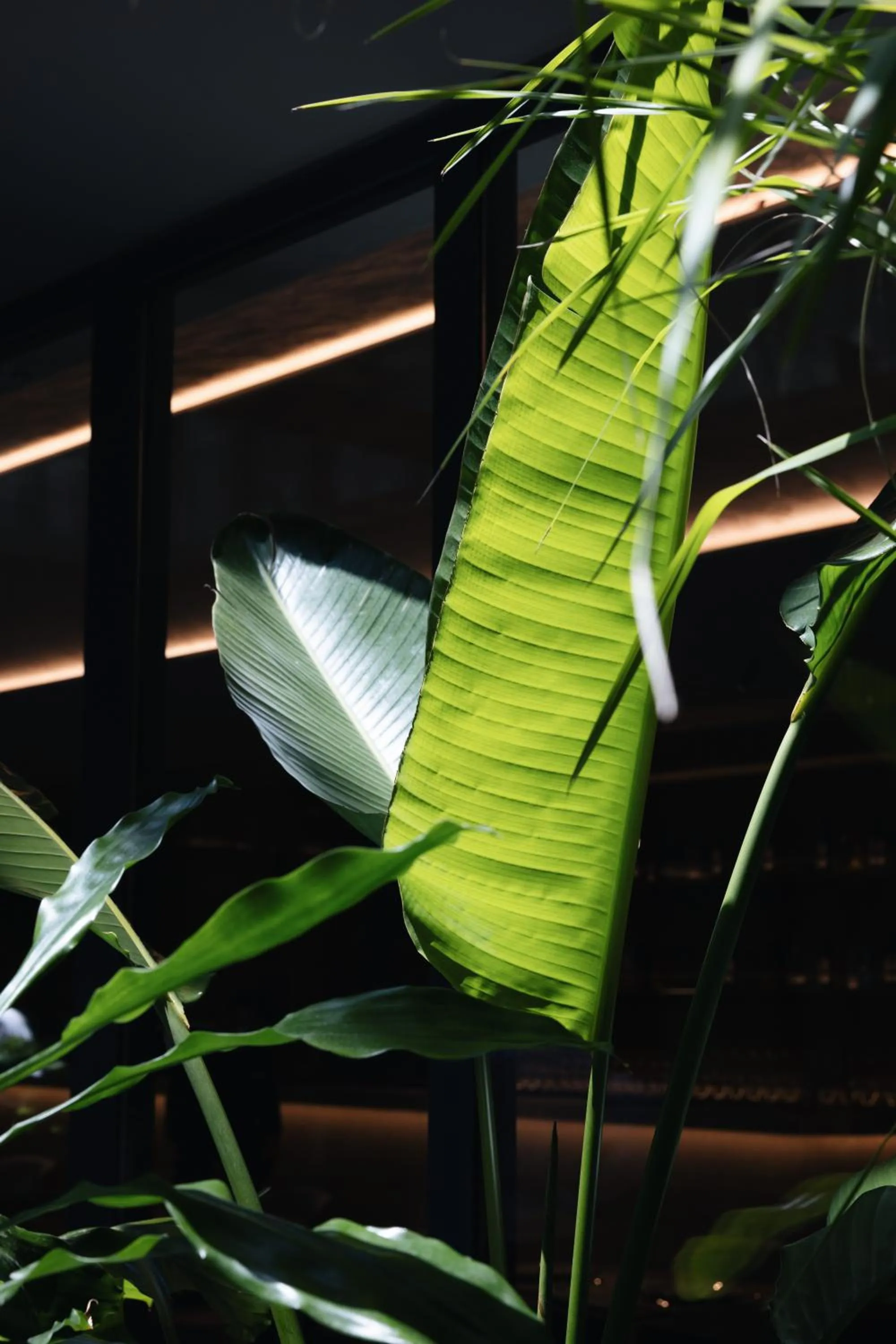 Decorative detail in Grand Duka Hotel & SPA