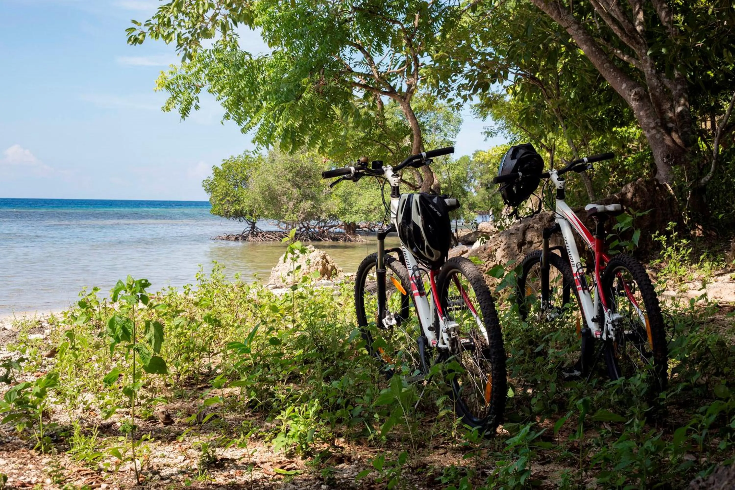 Cycling in Plataran Menjangan Resort and Spa - CHSE Certified