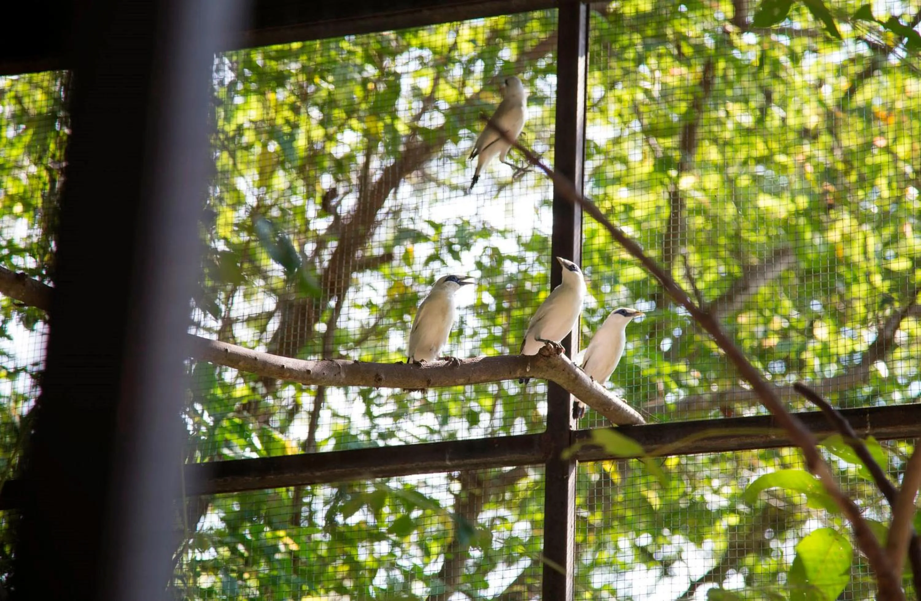 Children play ground in Plataran Menjangan Resort and Spa - CHSE Certified