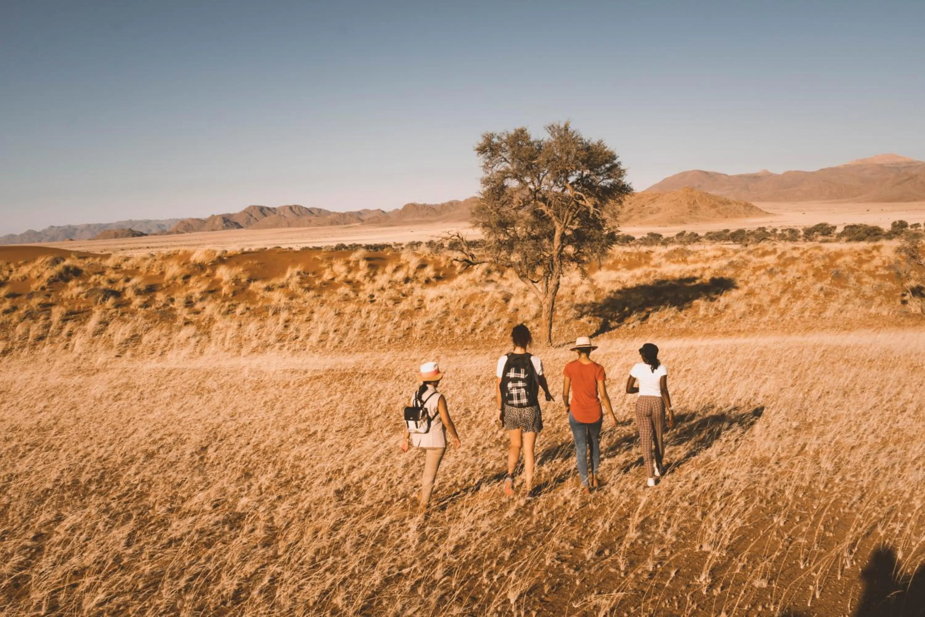 Activities in Gondwana Namib Desert Lodge