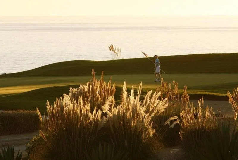 Golfcourse in Sunny Lounge Apartment