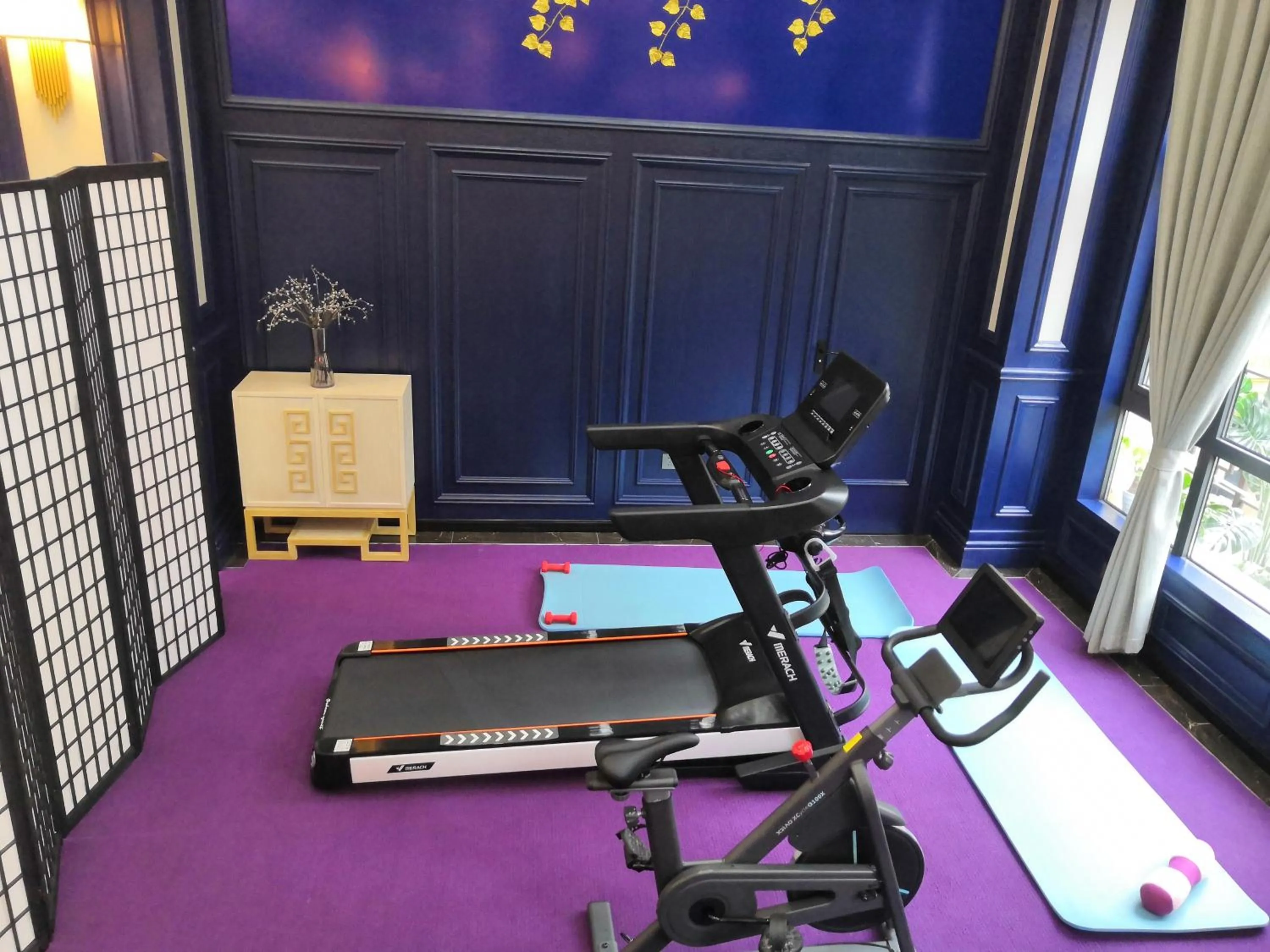 Fitness centre/facilities in LanOu hotel