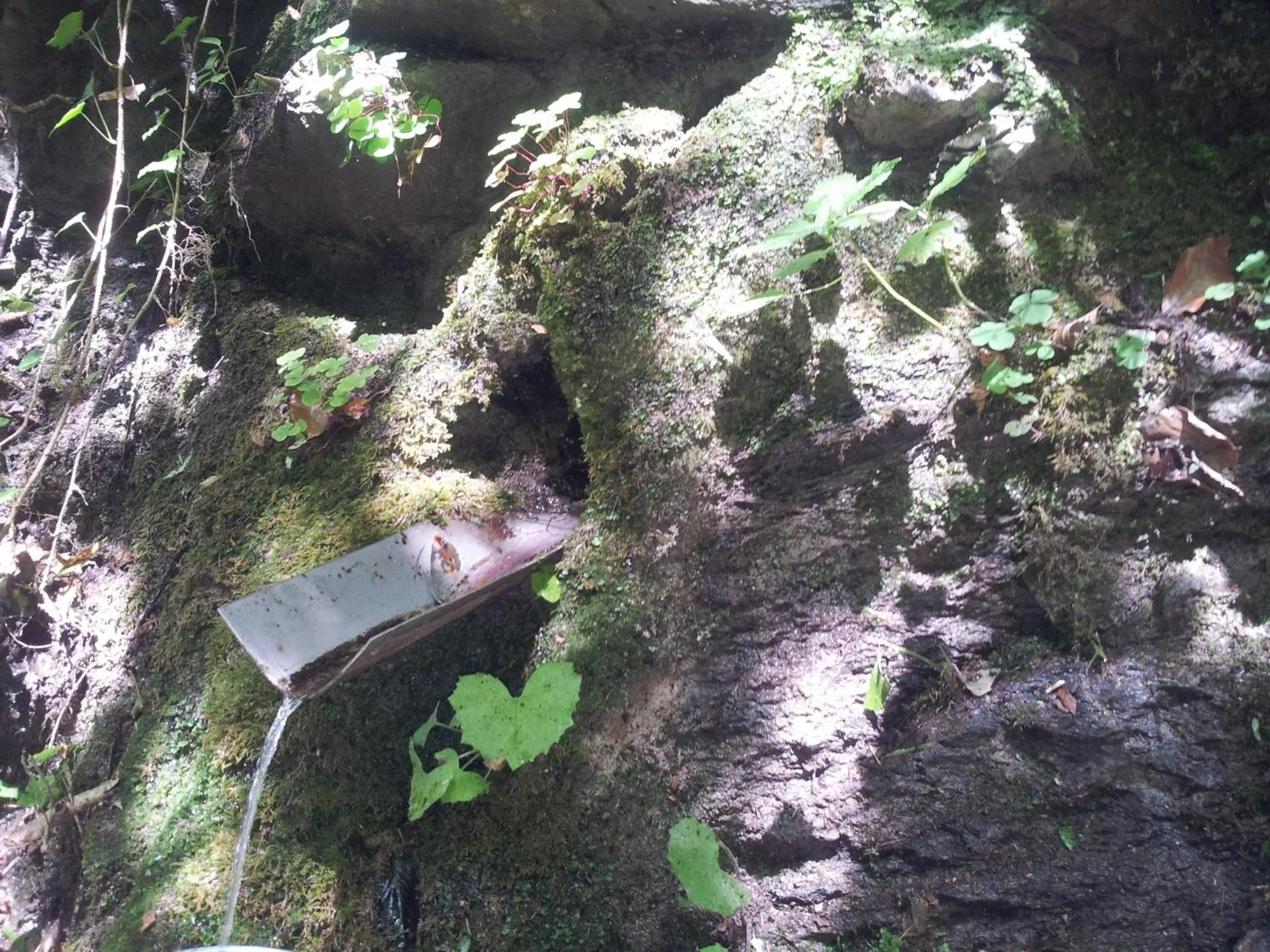 Natural landscape in B&B Casa Arcangeli