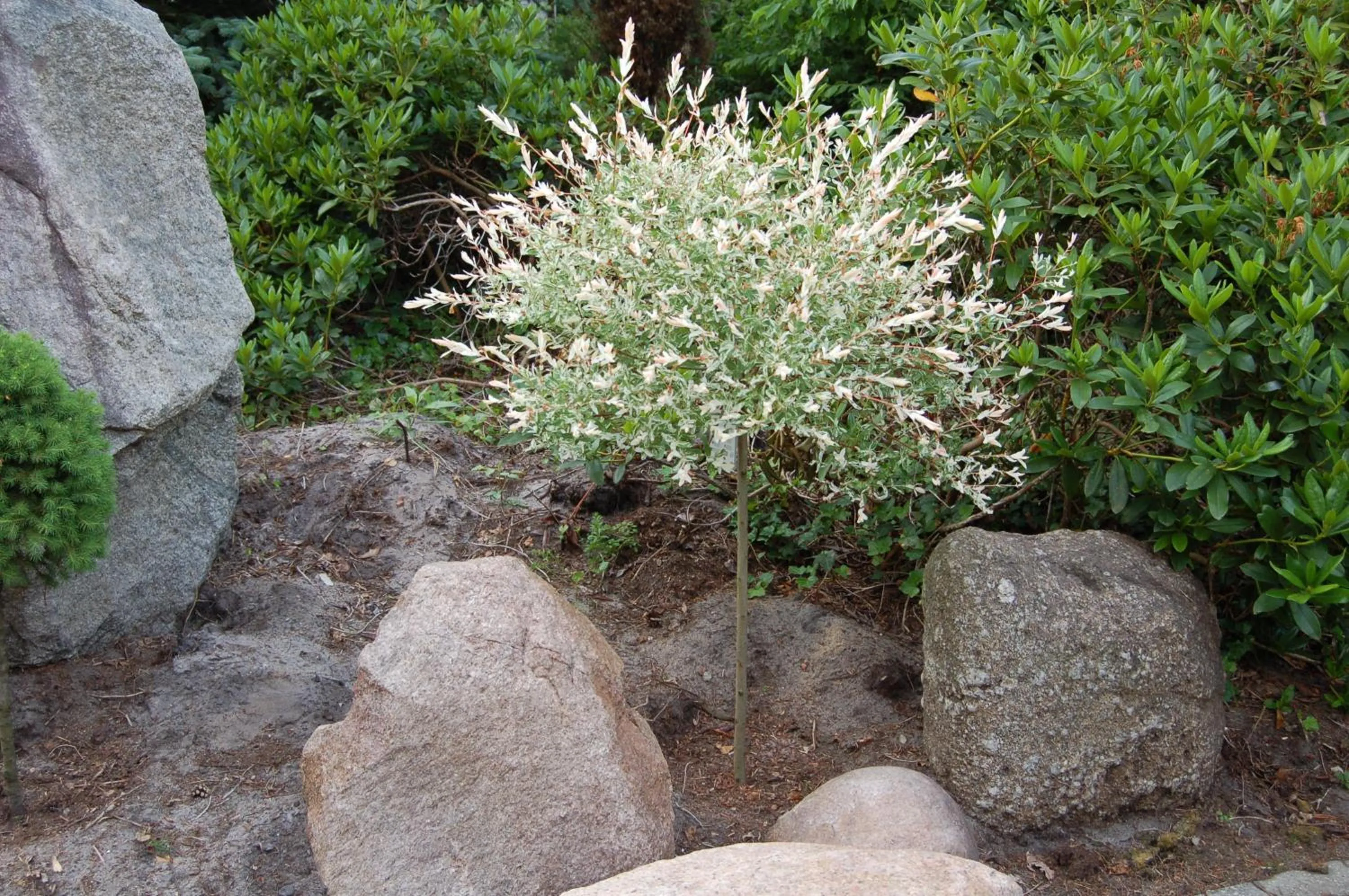 Garden in Hotel am Weißdornbusch