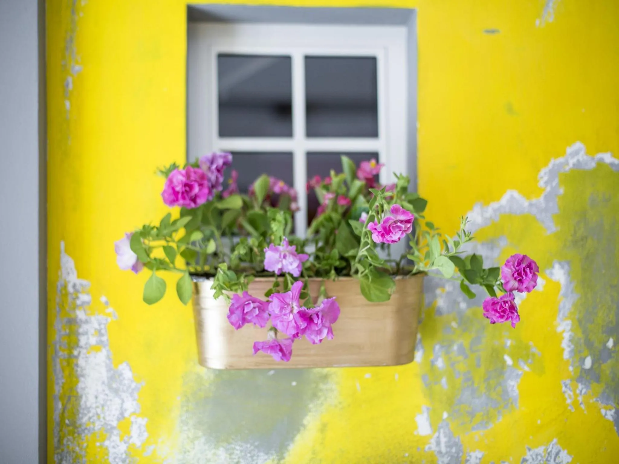 Lobby or reception in Miss Sophie's New Town & Wellness