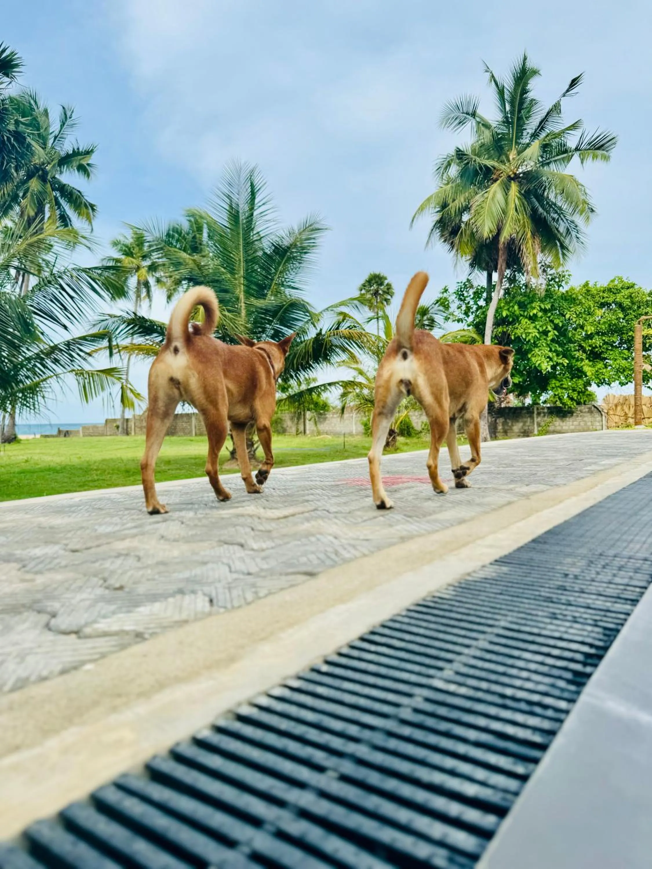 108 Palms Beach Resort