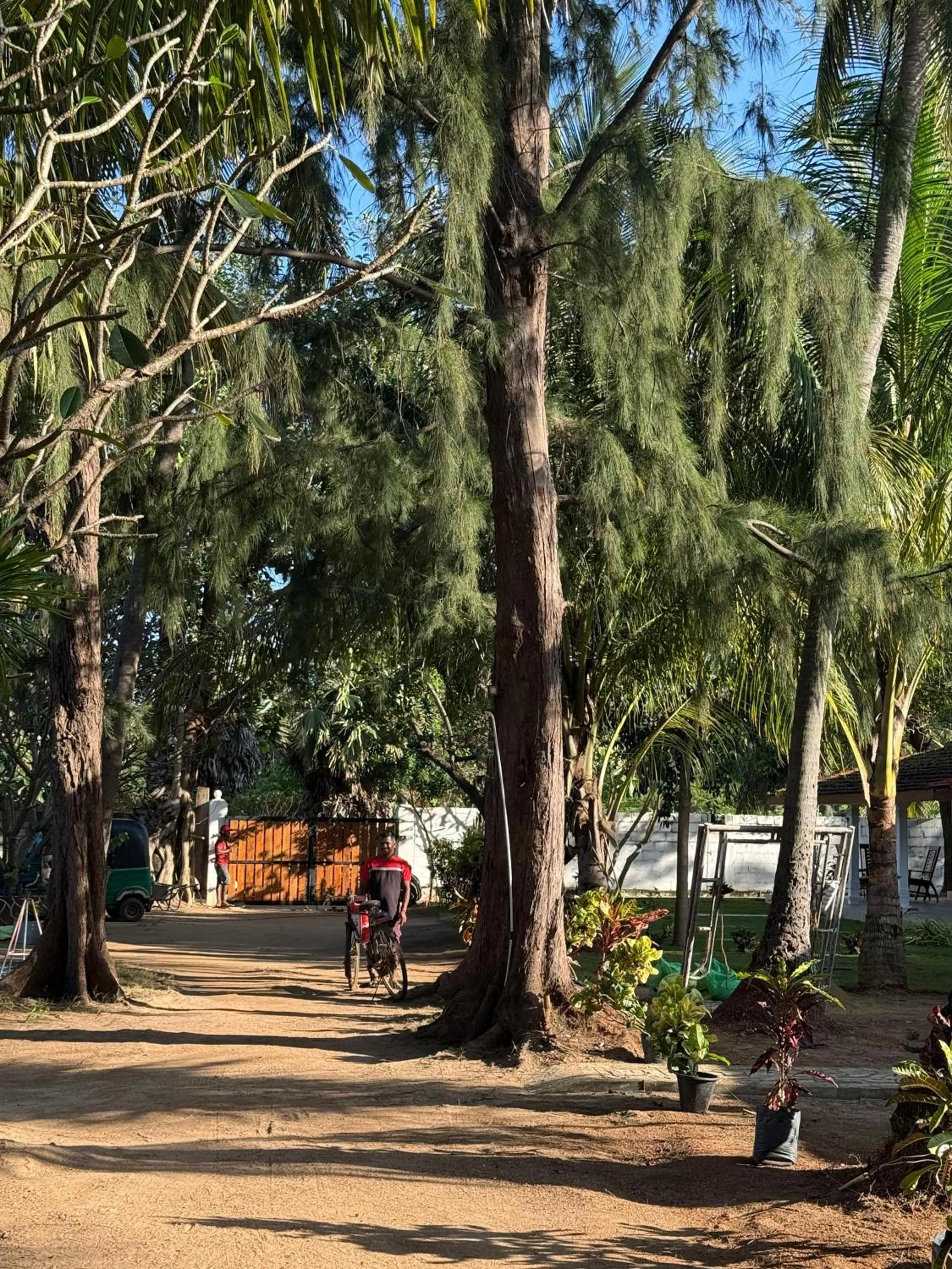 108 Palms Beach Resort