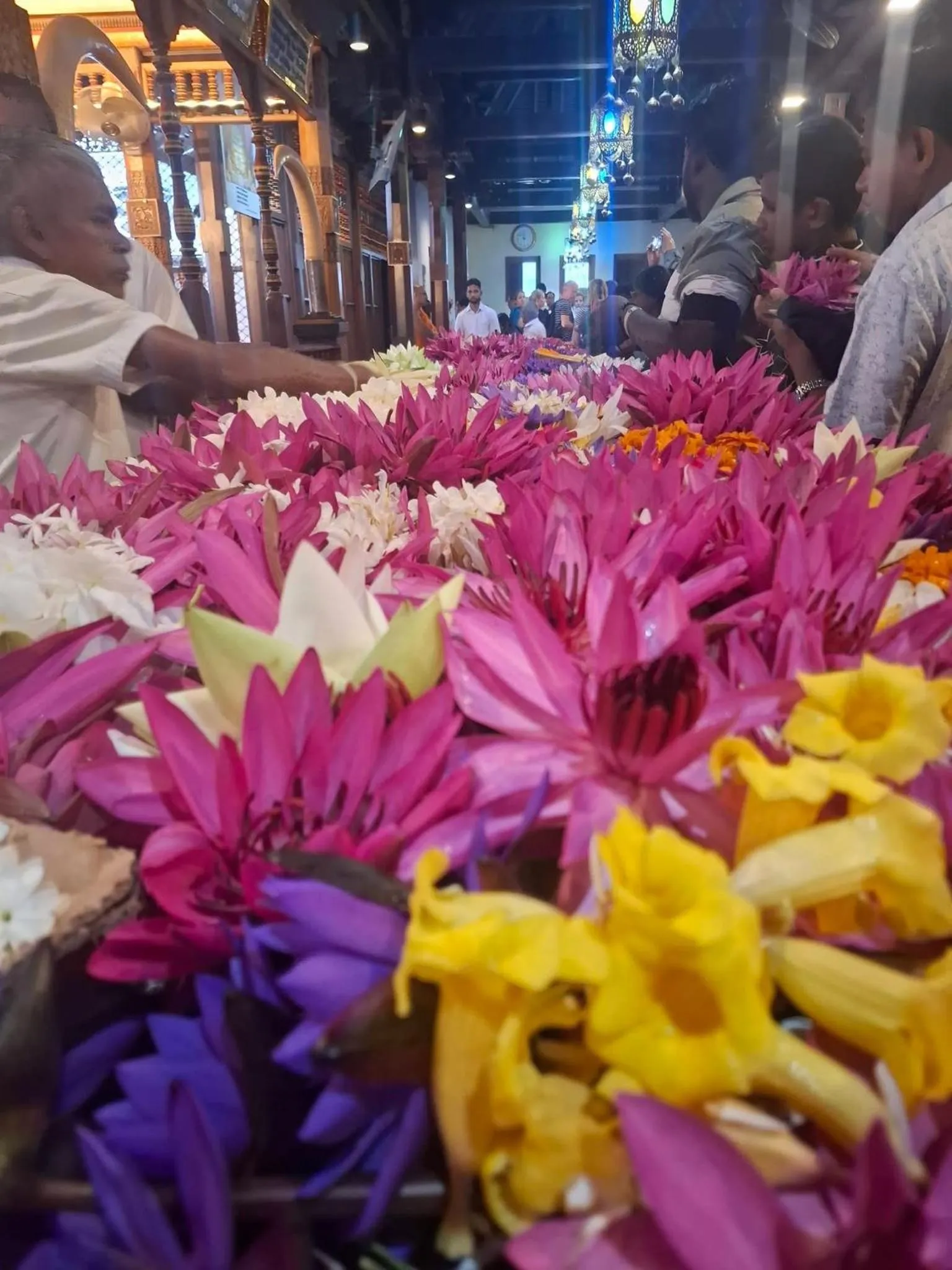 108 Palms Beach Resort