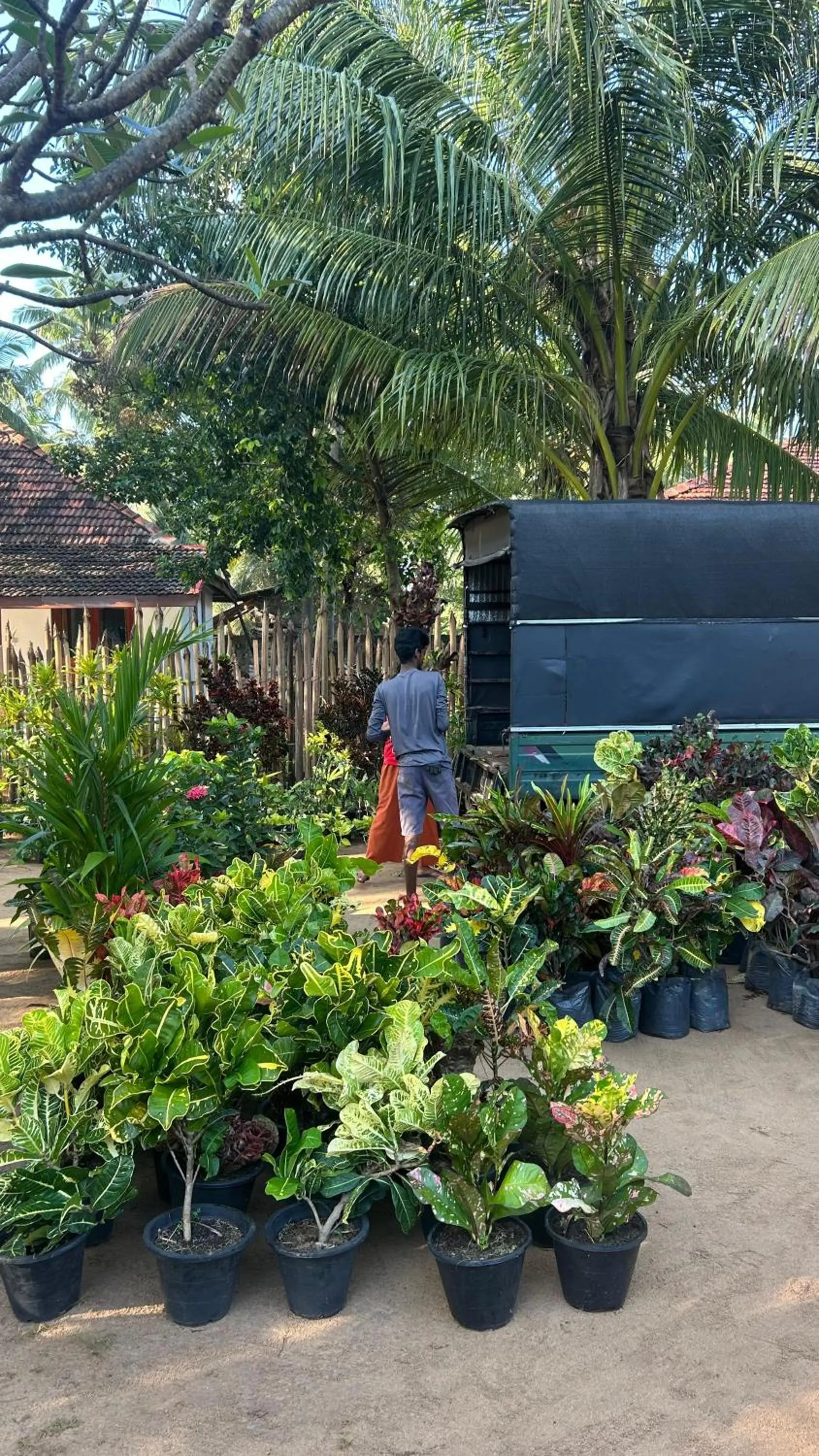 108 Palms Beach Resort