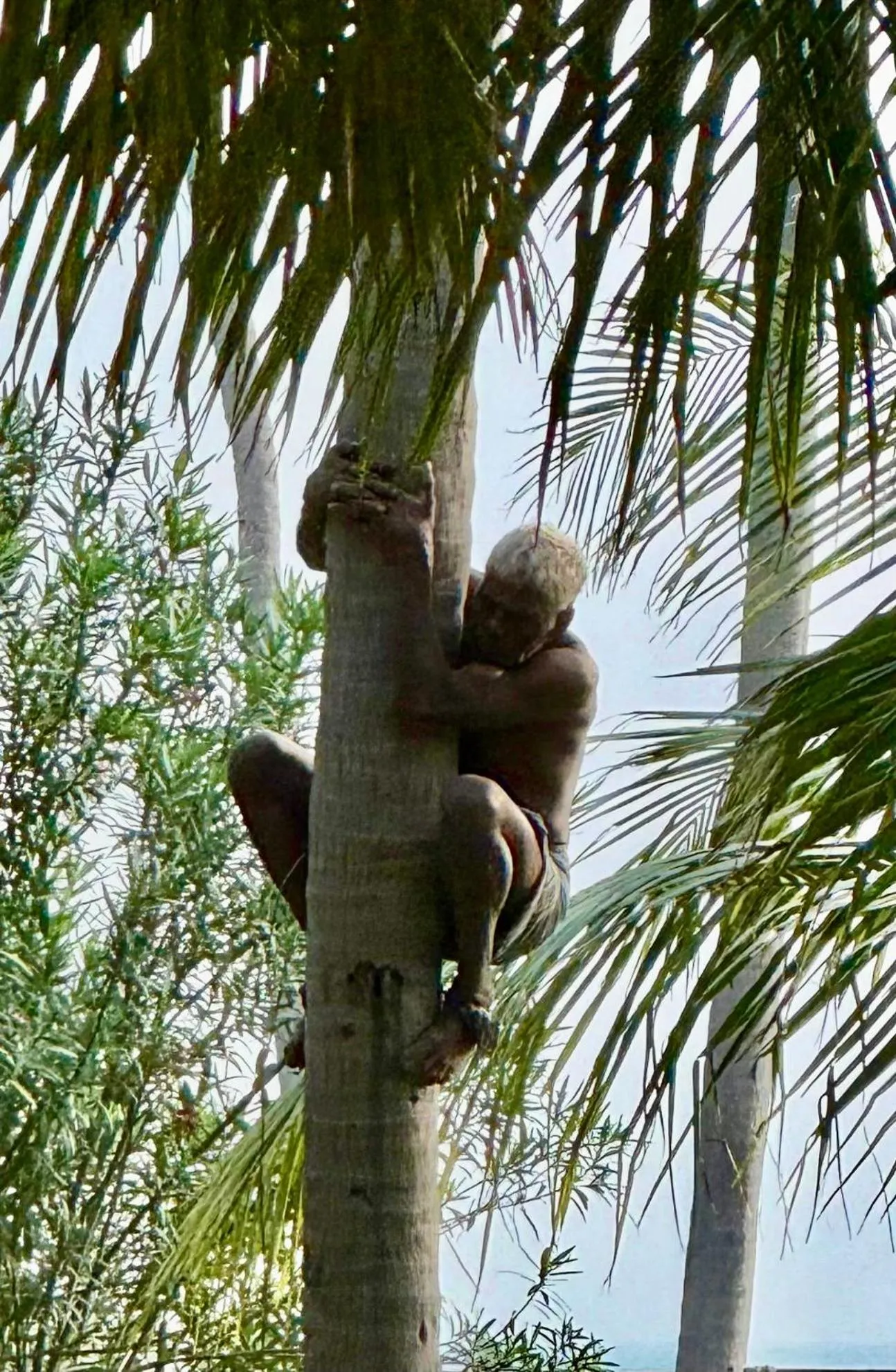 108 Palms Beach Resort