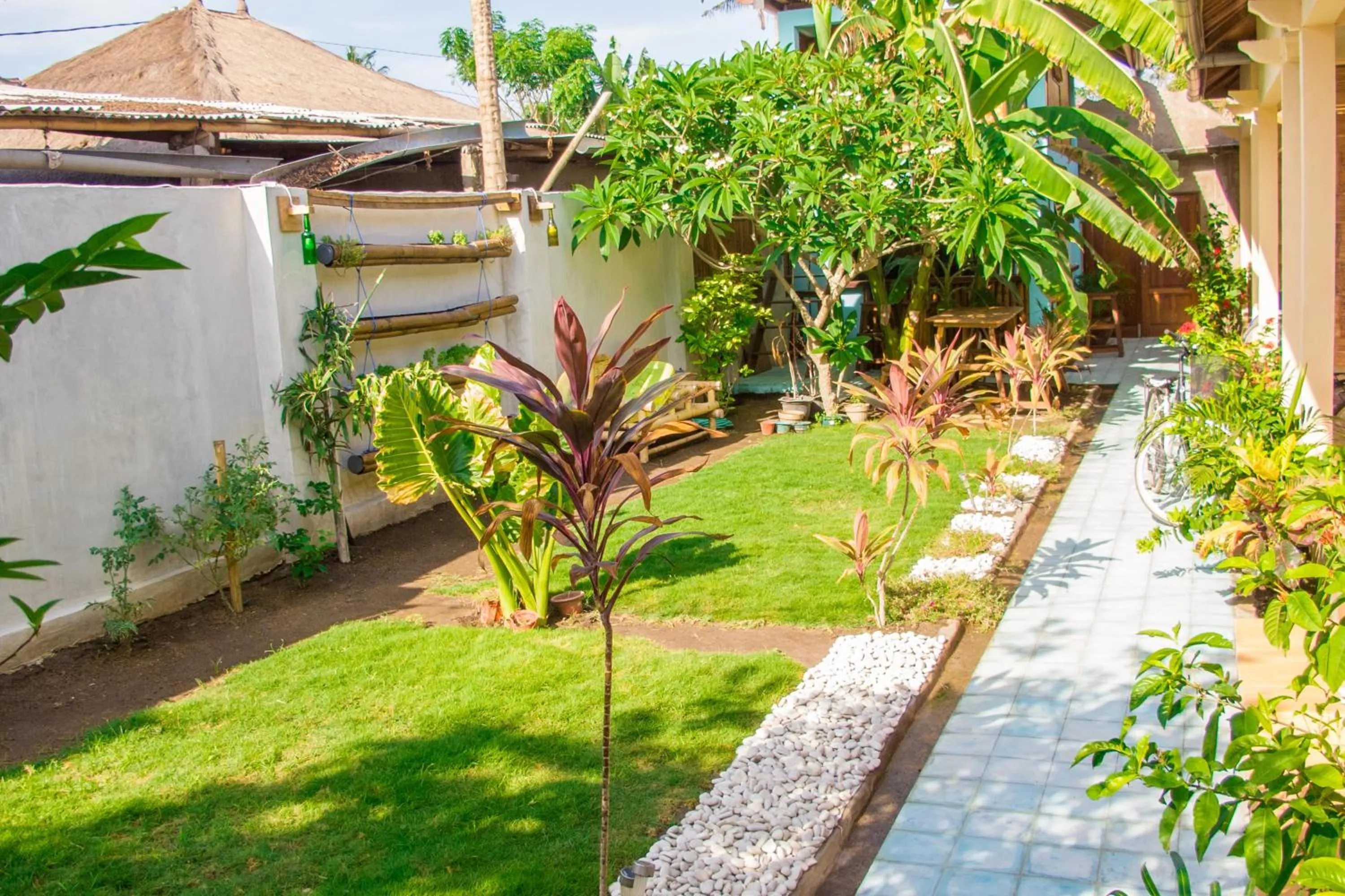 Garden in Mandalika Cottage