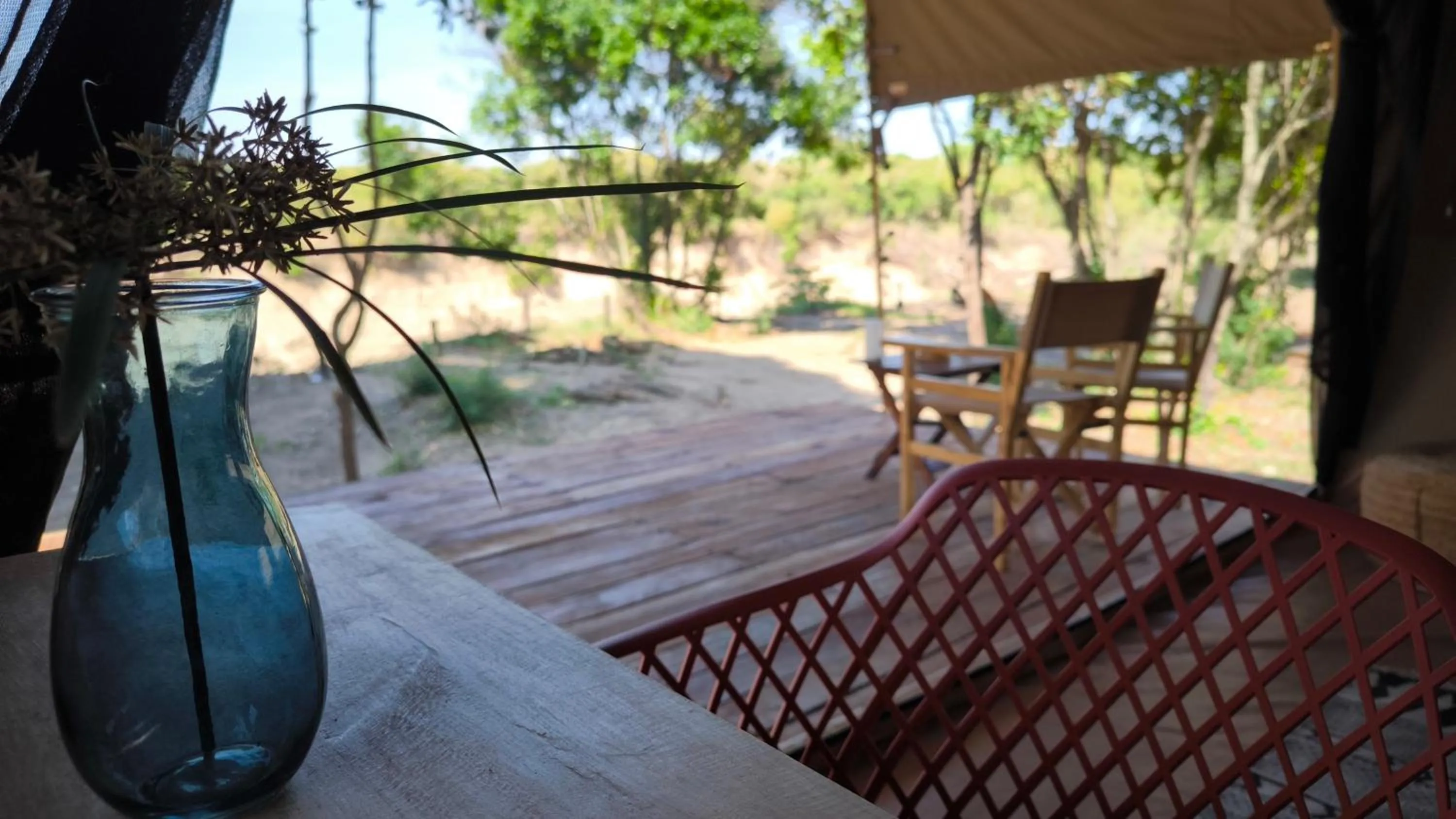 Photo of the whole room in Julia's River Camp