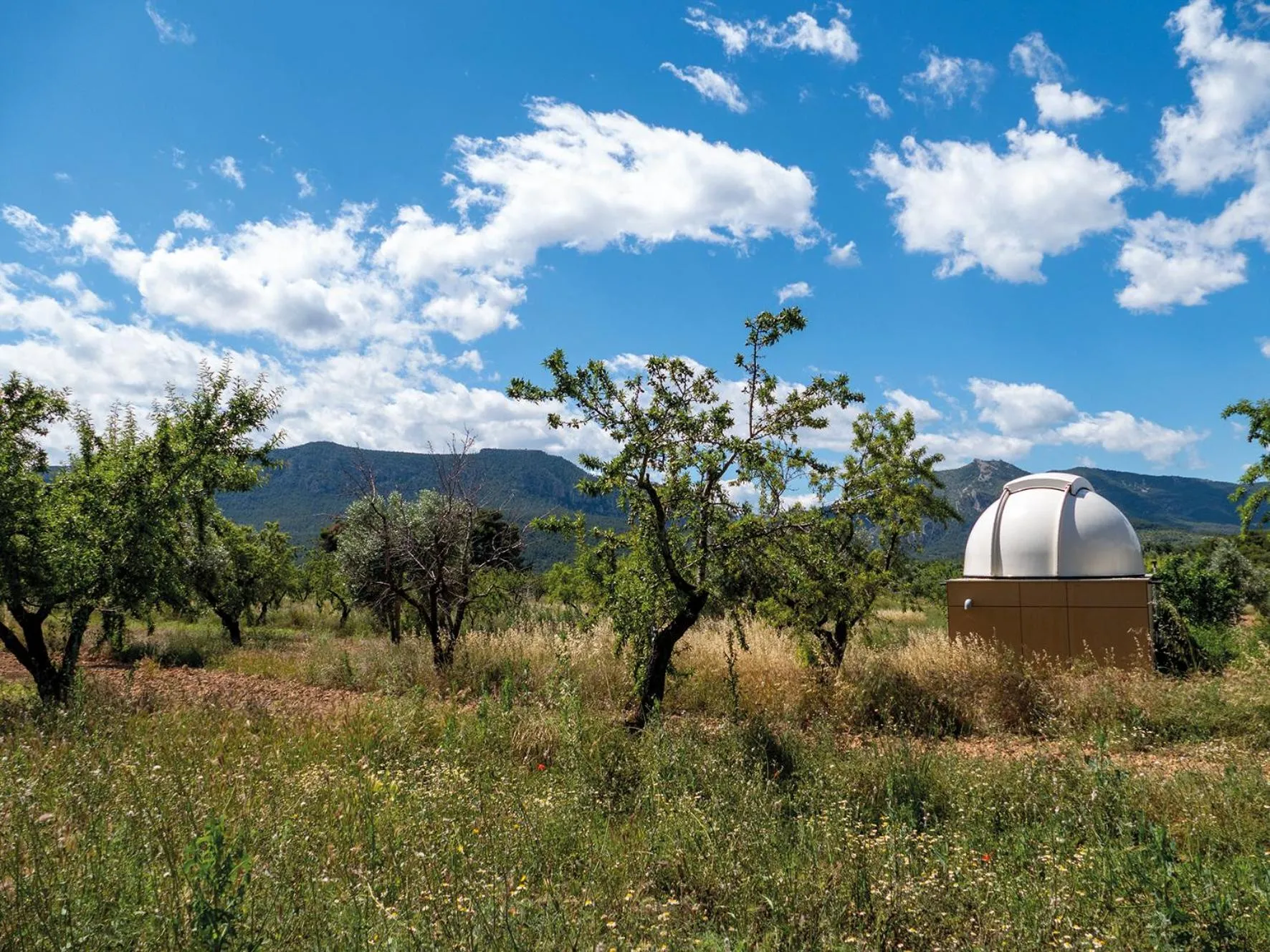 Off site in Hotel Mas de la Costa ****