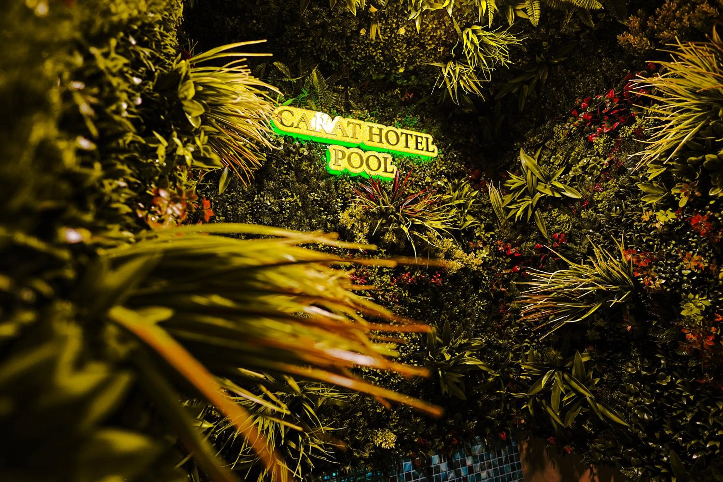 Swimming pool in Carat Hotel Yerevan