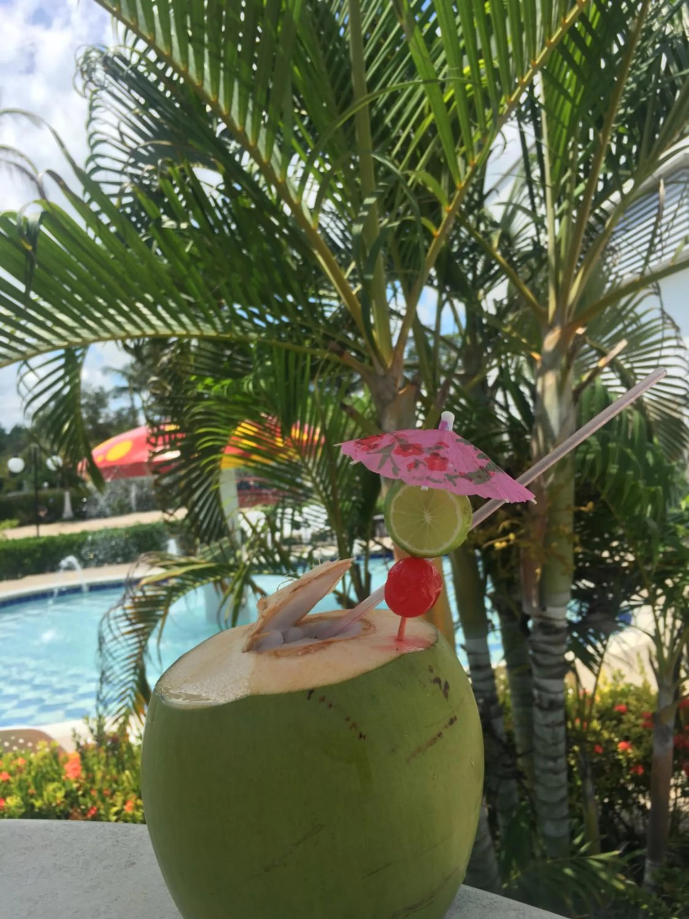 Garden in Hotel La Fragata