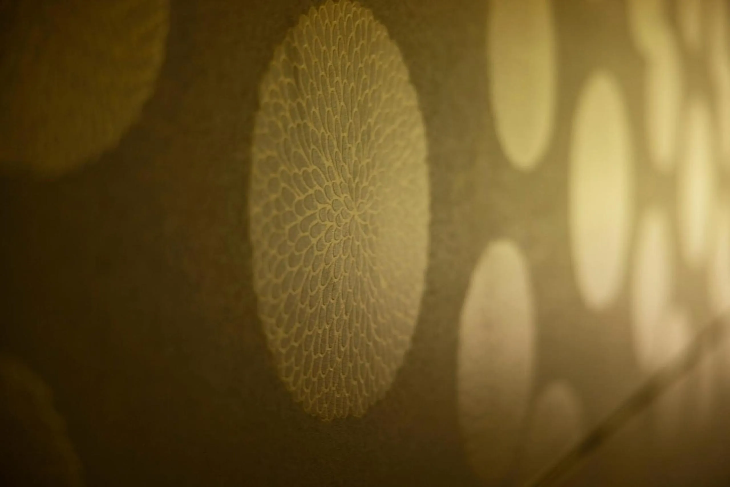 Photo of the whole room in Sennomori