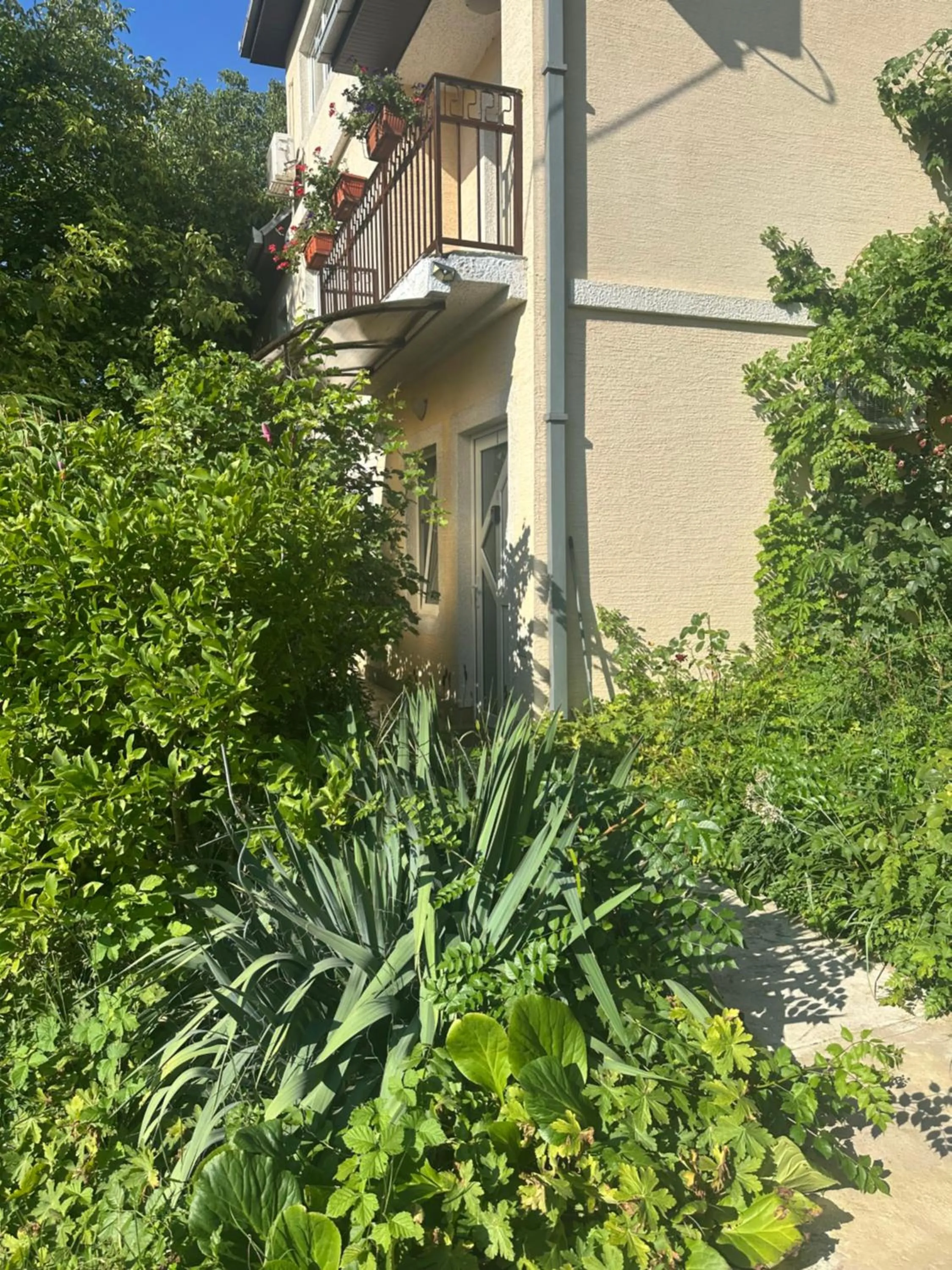 Apartments Don
