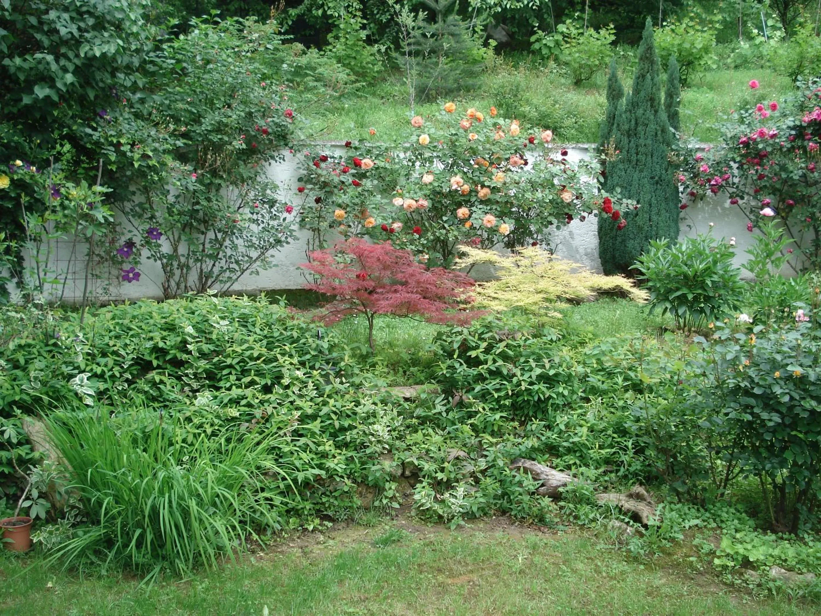 Natural landscape in Apartments Don