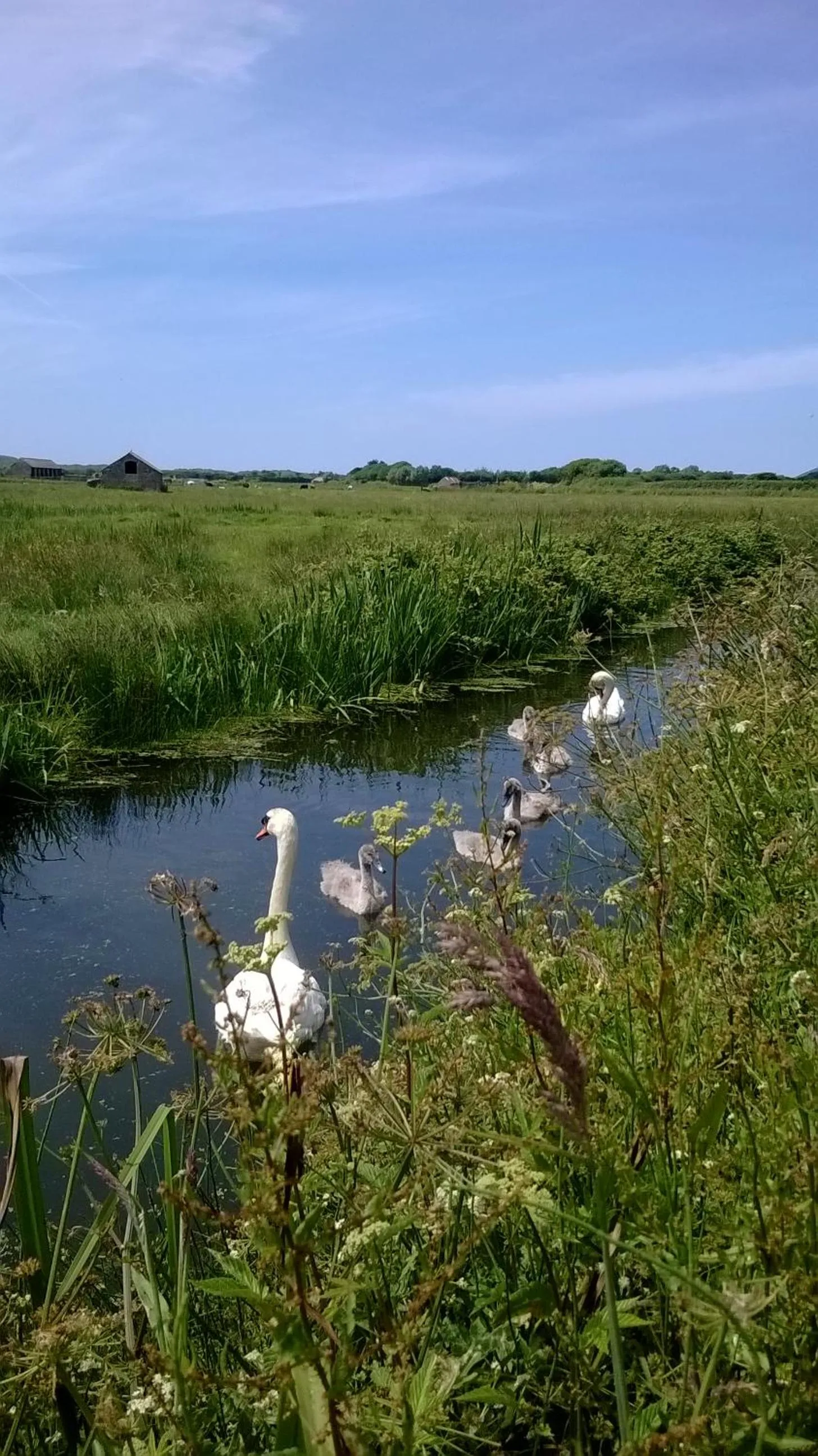 Spring in The Gallery Lodges