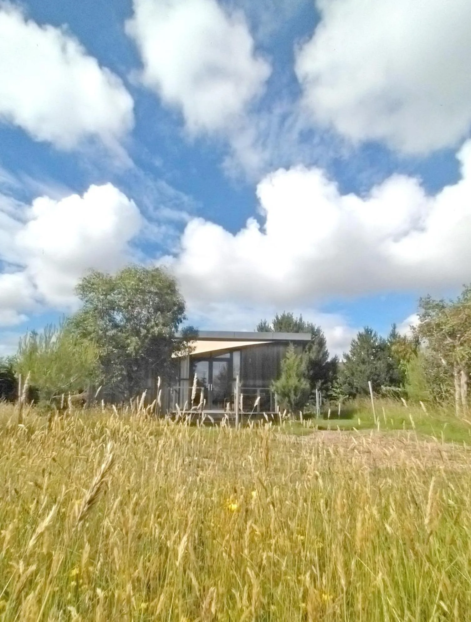 Natural landscape in The Gallery Lodges