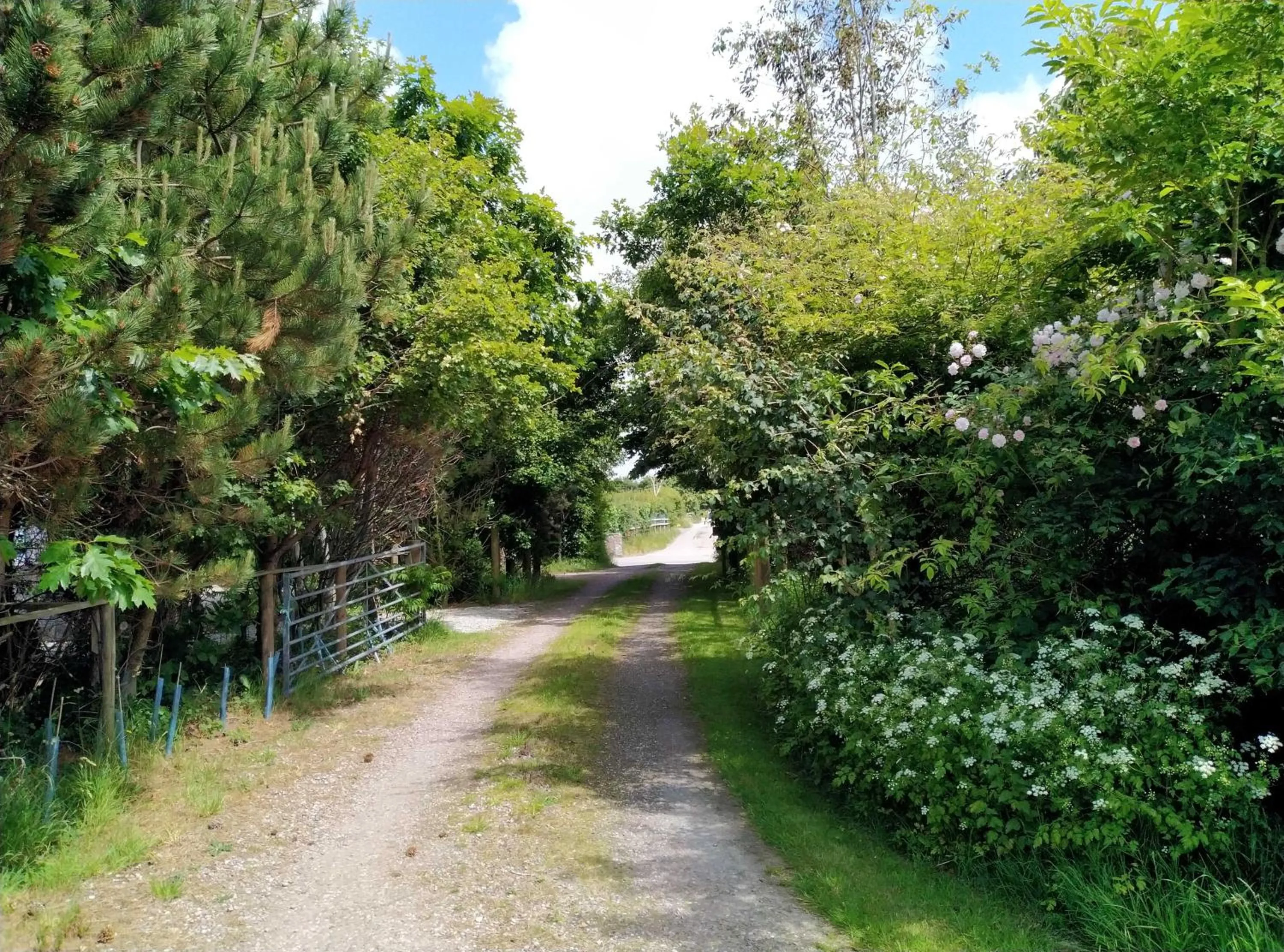 Facade/entrance in The Gallery Lodges