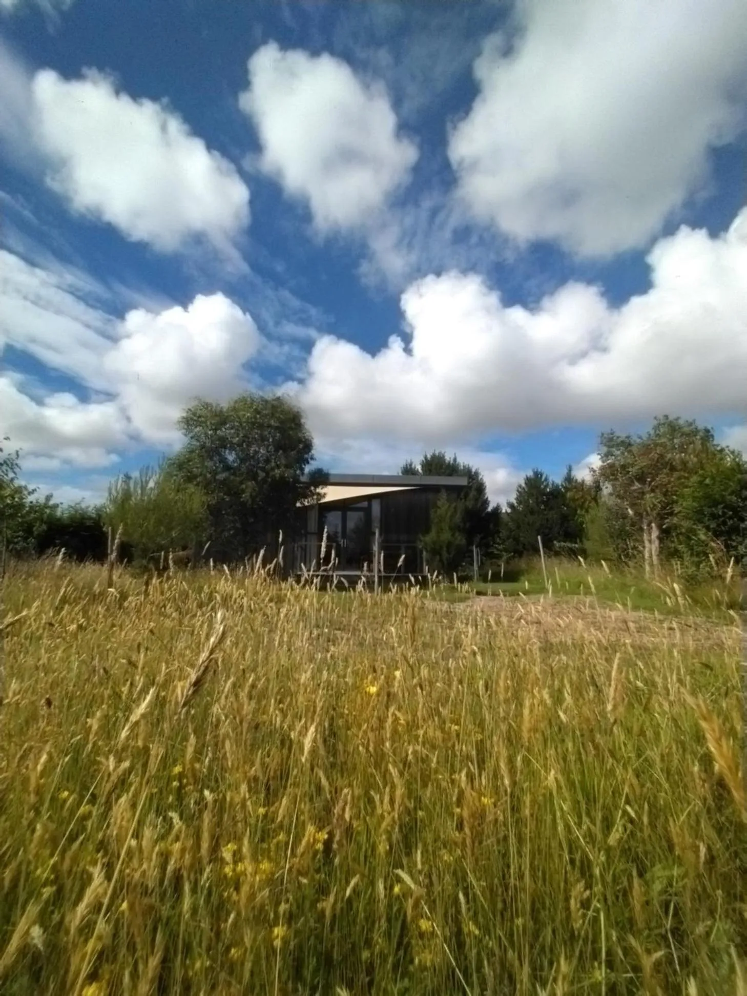 Natural landscape in The Gallery Lodges