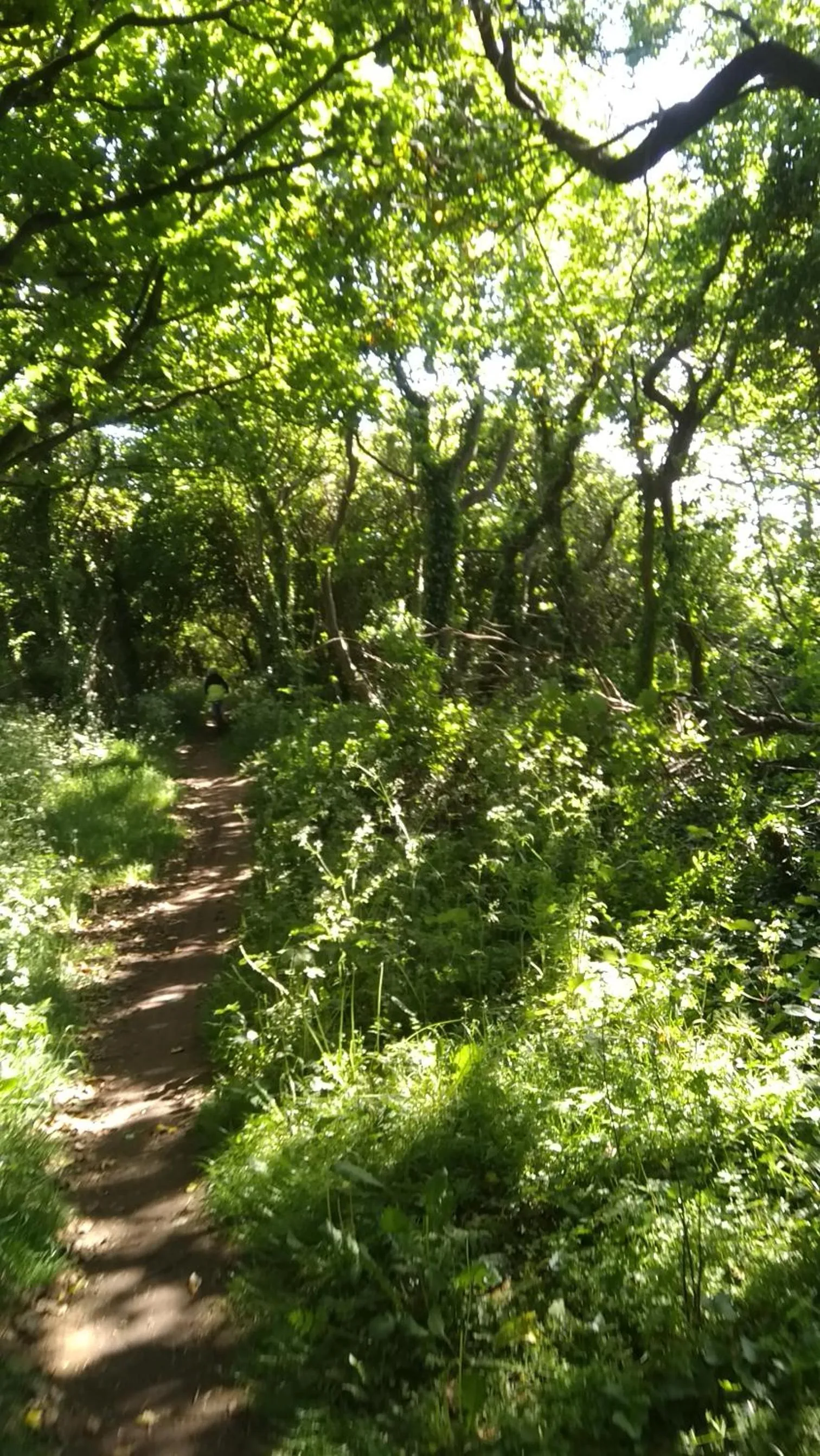 Spring in The Gallery Lodges