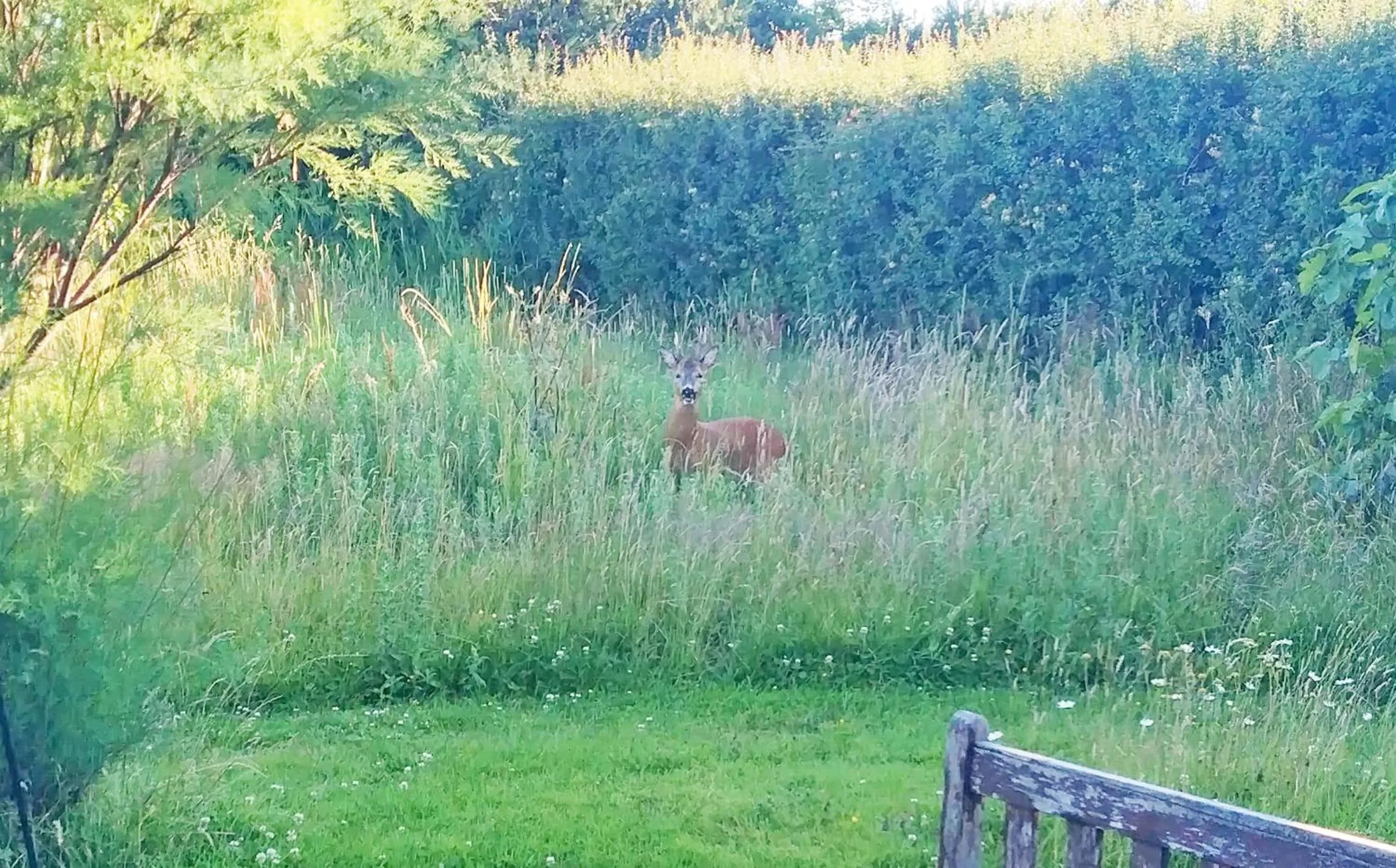 Natural landscape in The Gallery Lodges