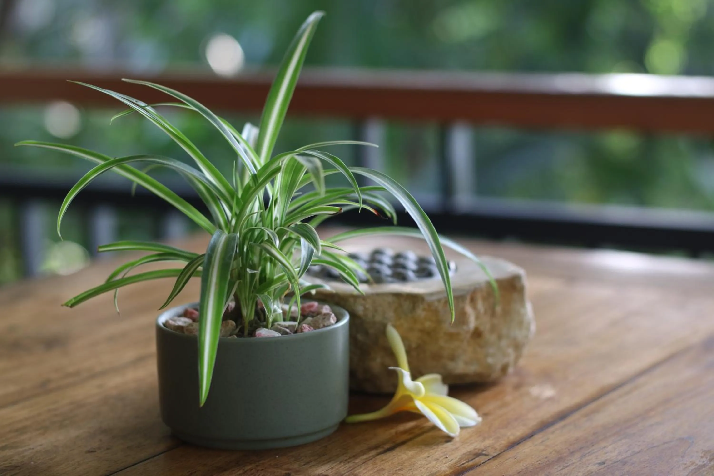 Decorative detail in Villa Capung Mas Ubud