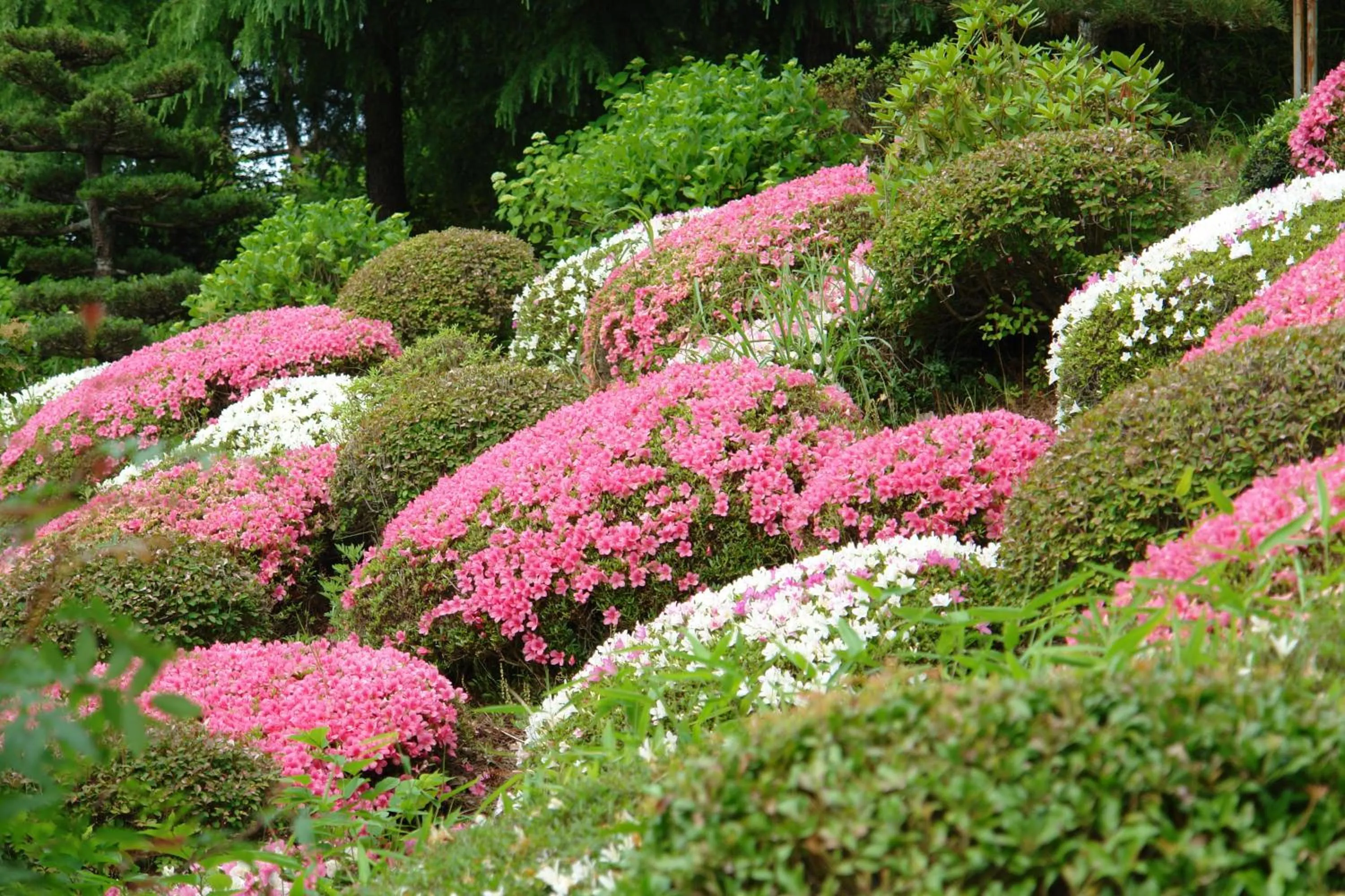 Natural landscape in Kounkaku