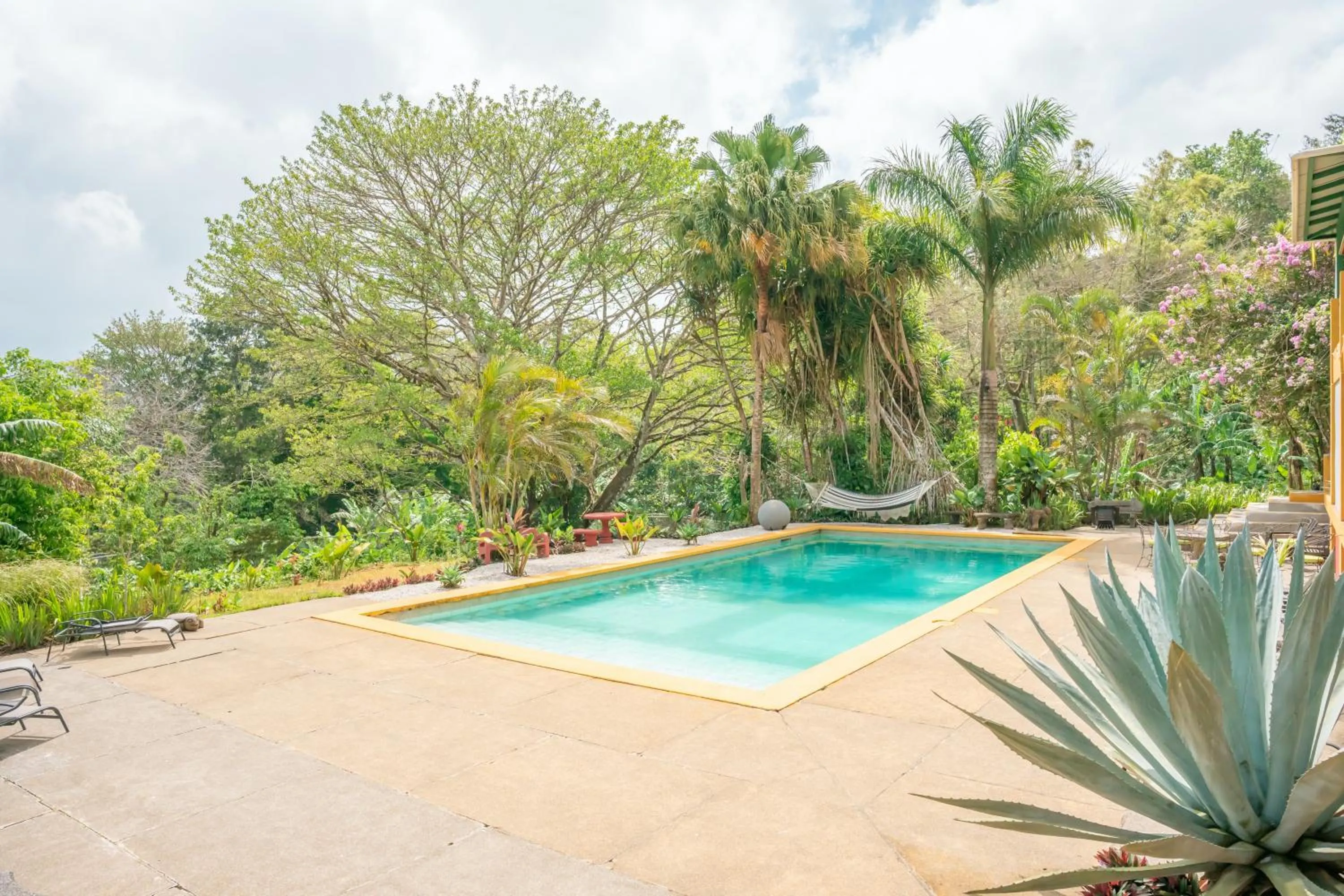Natural landscape in Lake Arenal Hotel, Brewery & Farm