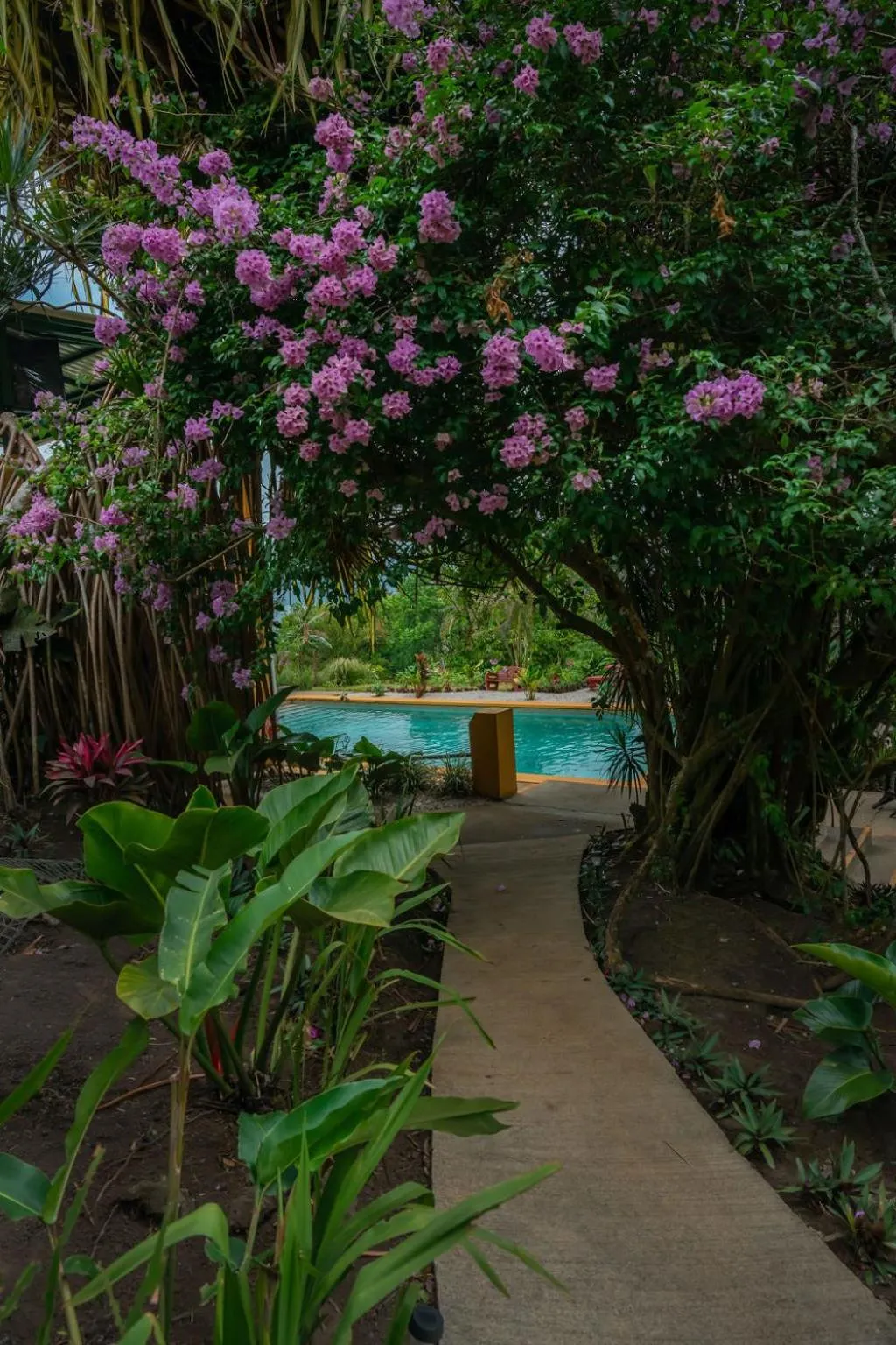 Swimming pool in Lake Arenal Hotel, Brewery & Farm