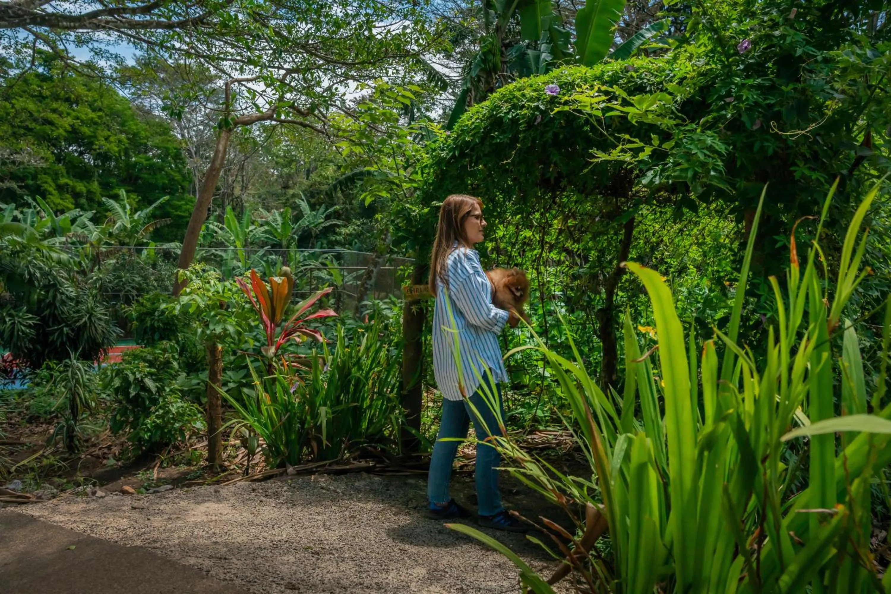 Day in Lake Arenal Hotel, Brewery & Farm