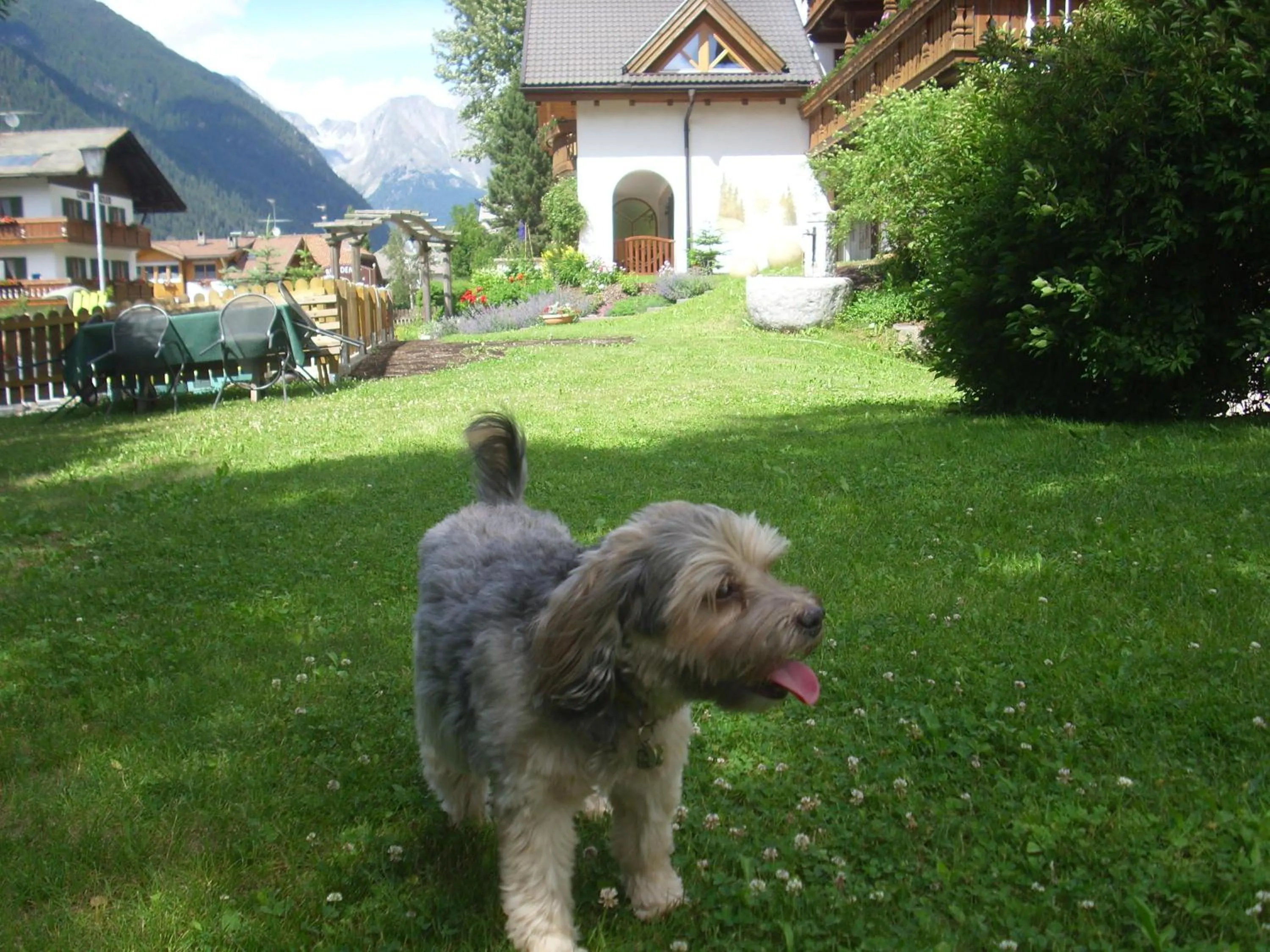 Animals in Apartments Residence Montana