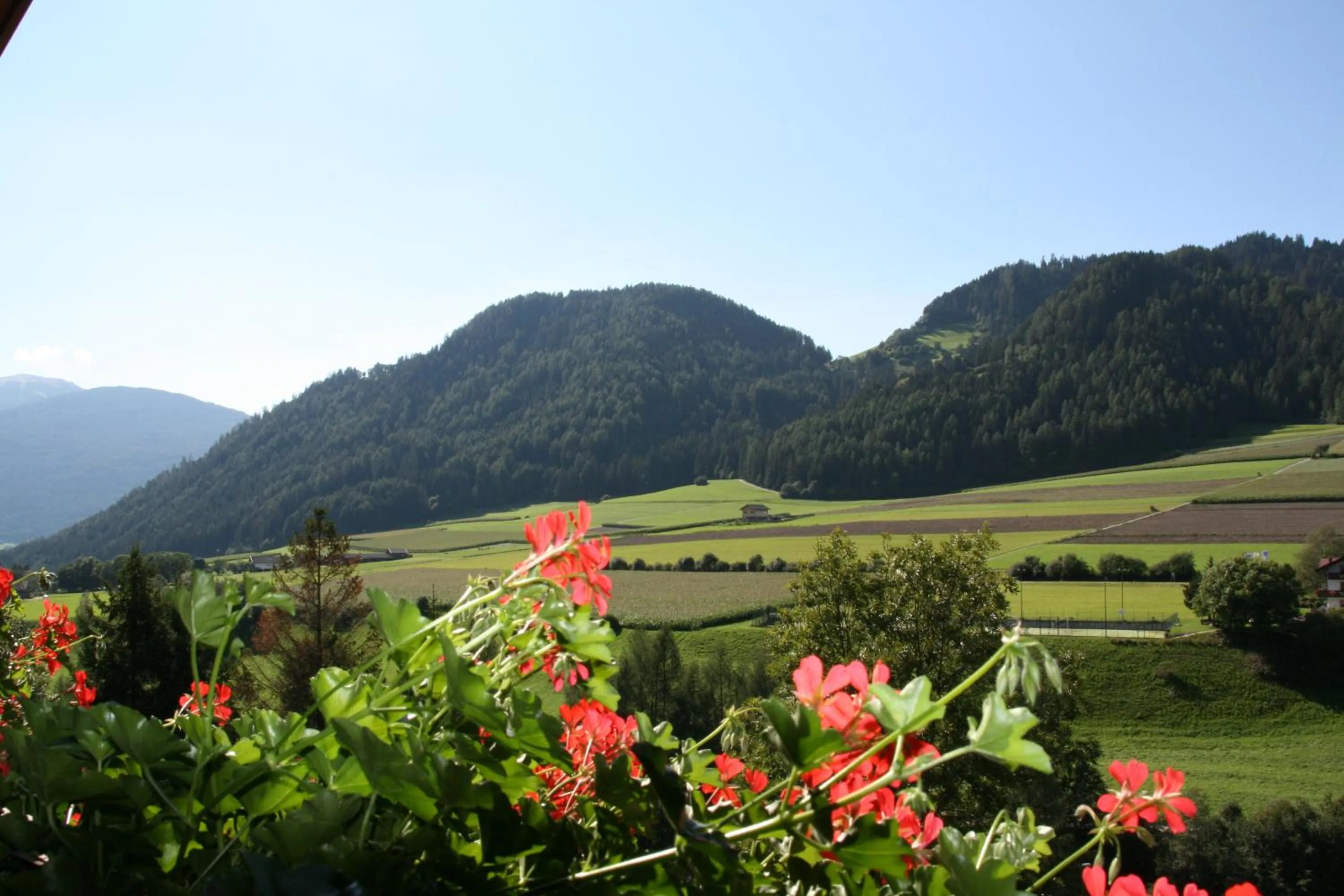 Natural landscape in Apartments Residence Montana