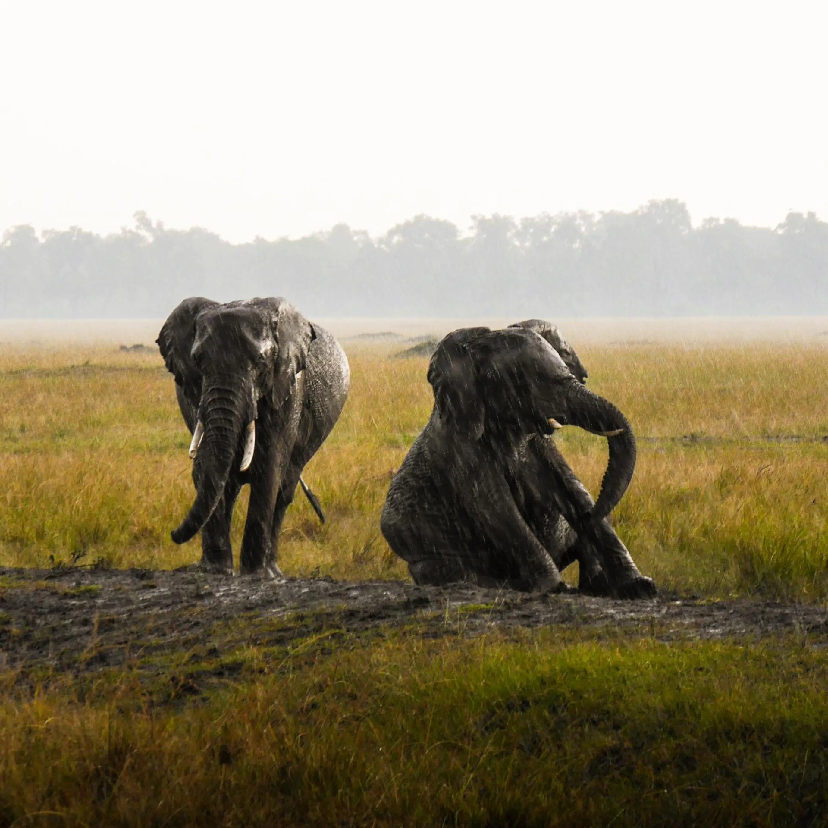 Day in Kananga Special Tented Camp