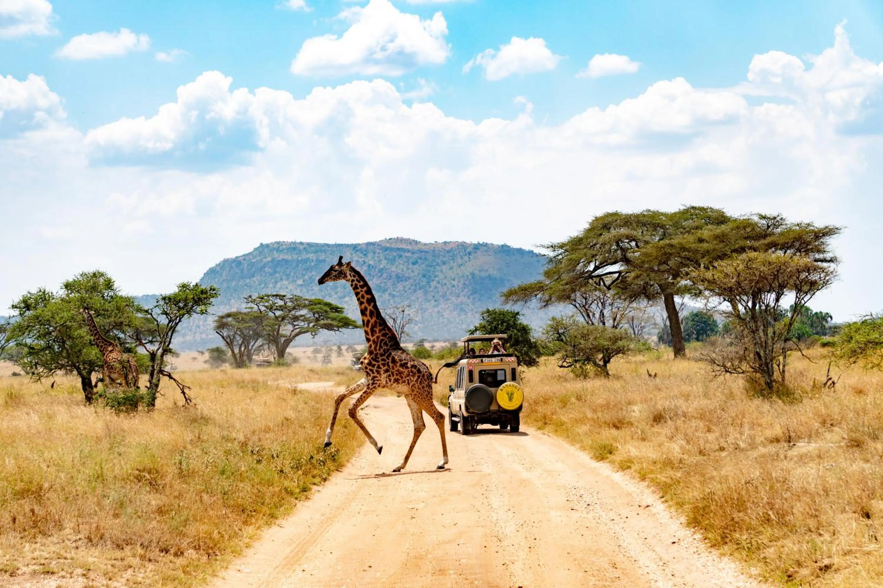 Day in Kananga Special Tented Camp
